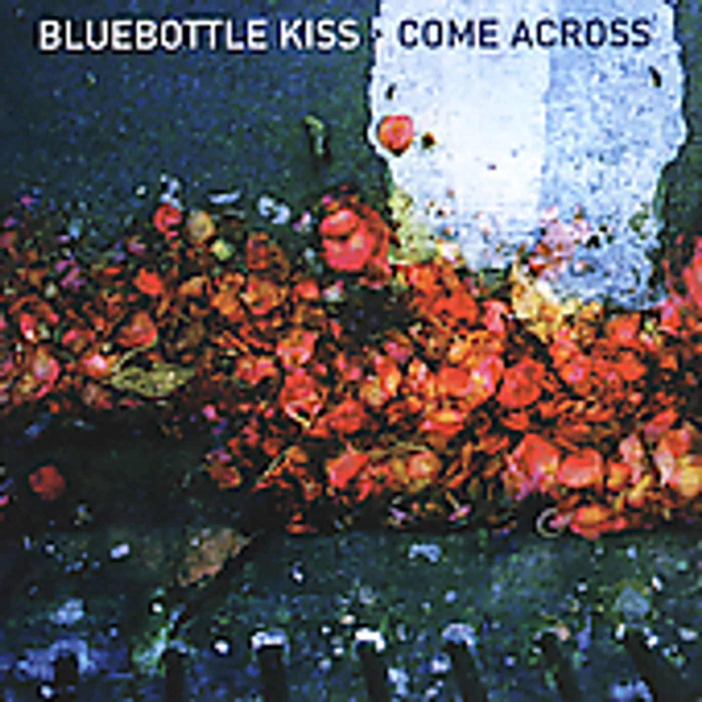 Bluebottle Kiss COME ACROSS CD