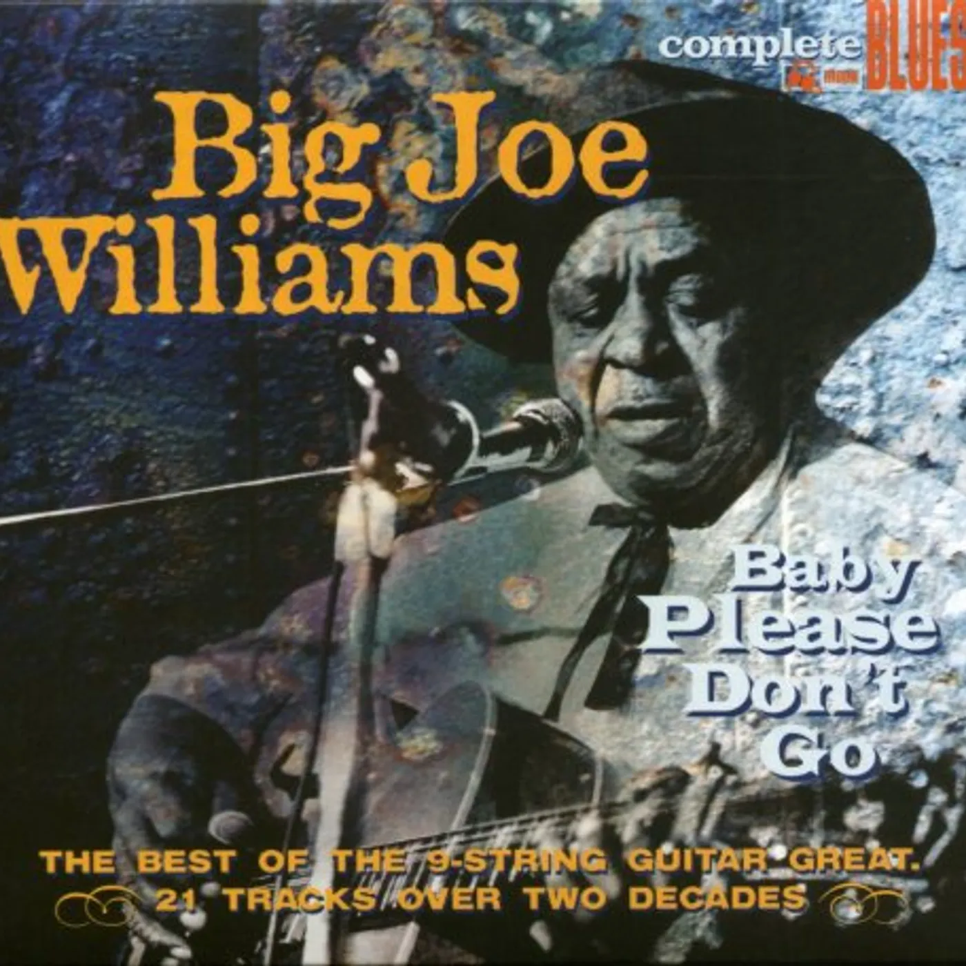 Big Joe Williams BABY PLEASE DONT GO CD