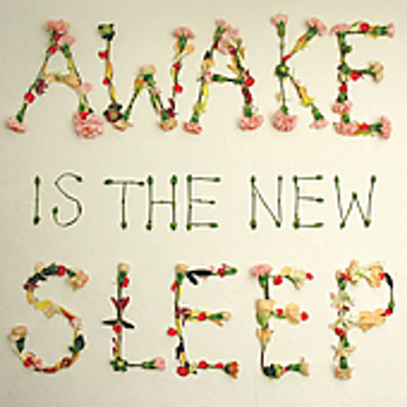 Ben Lee AWAKE IS THE NEW SLEEP CD