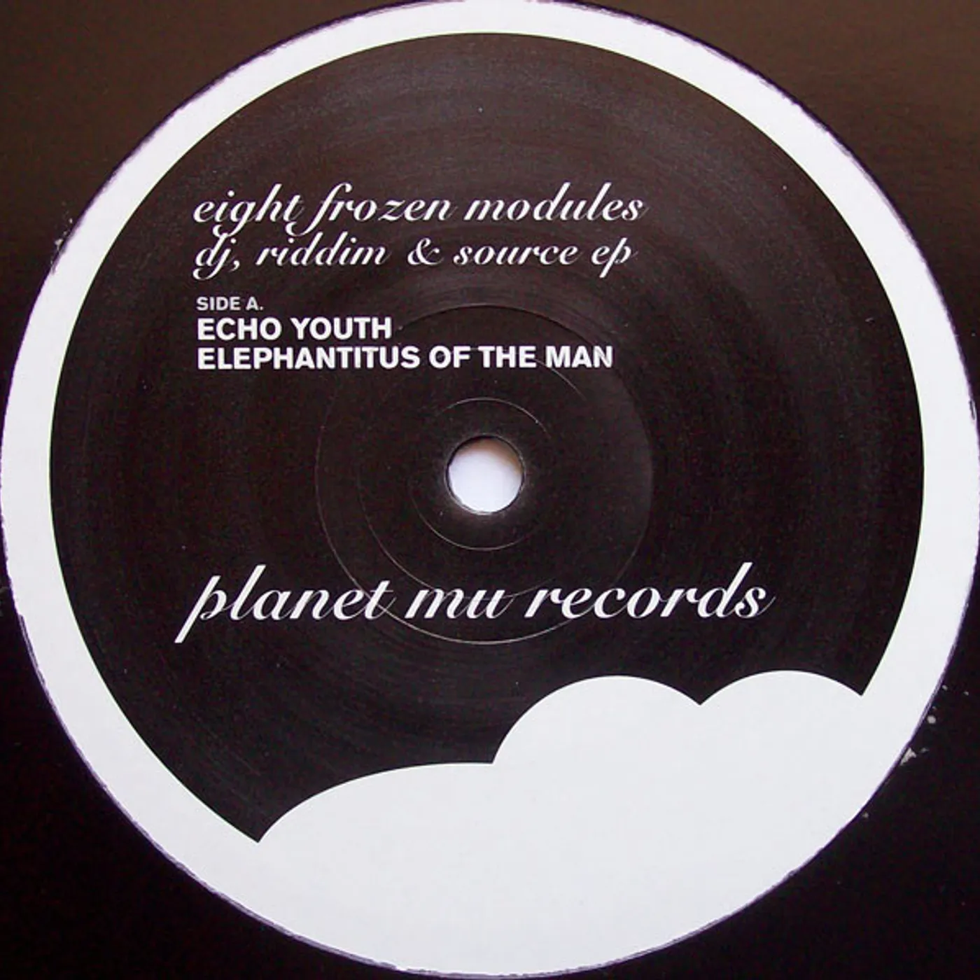Eight Frozen Modules DJ RIDDIM & SOURCE (Vinyl)