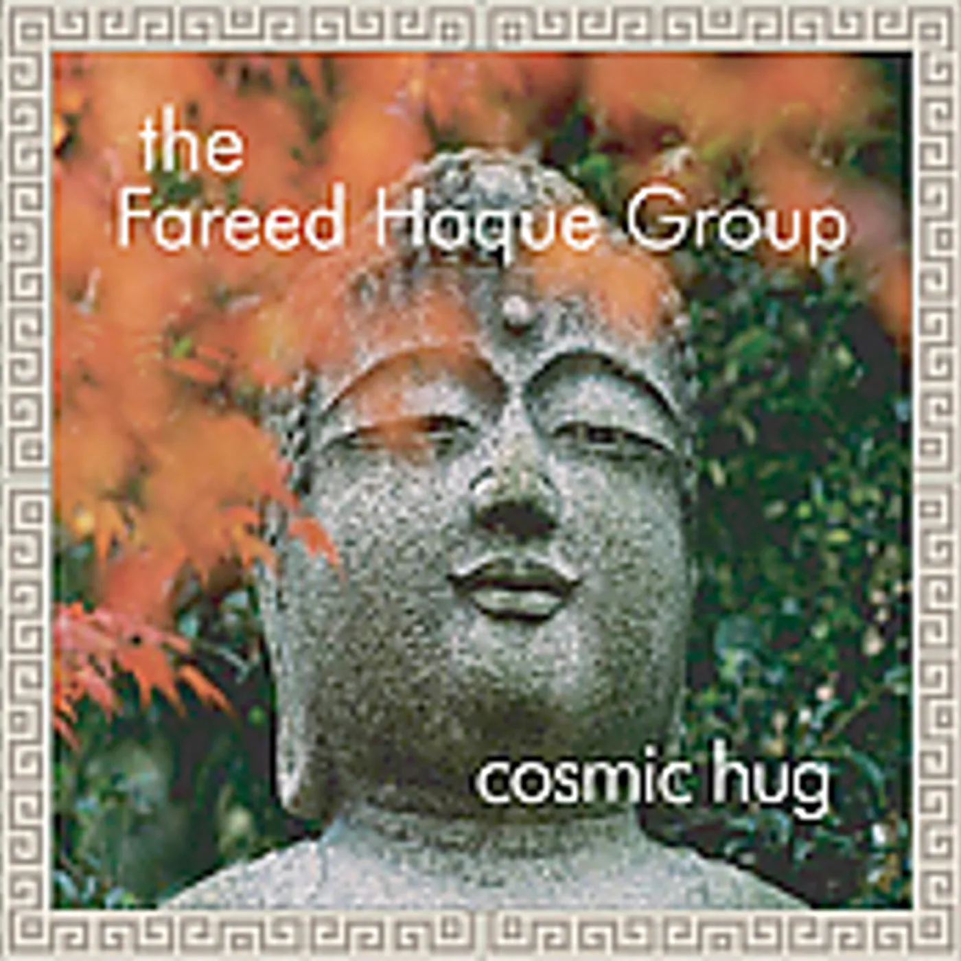 Fareed Haque COSMIC HUG CD
