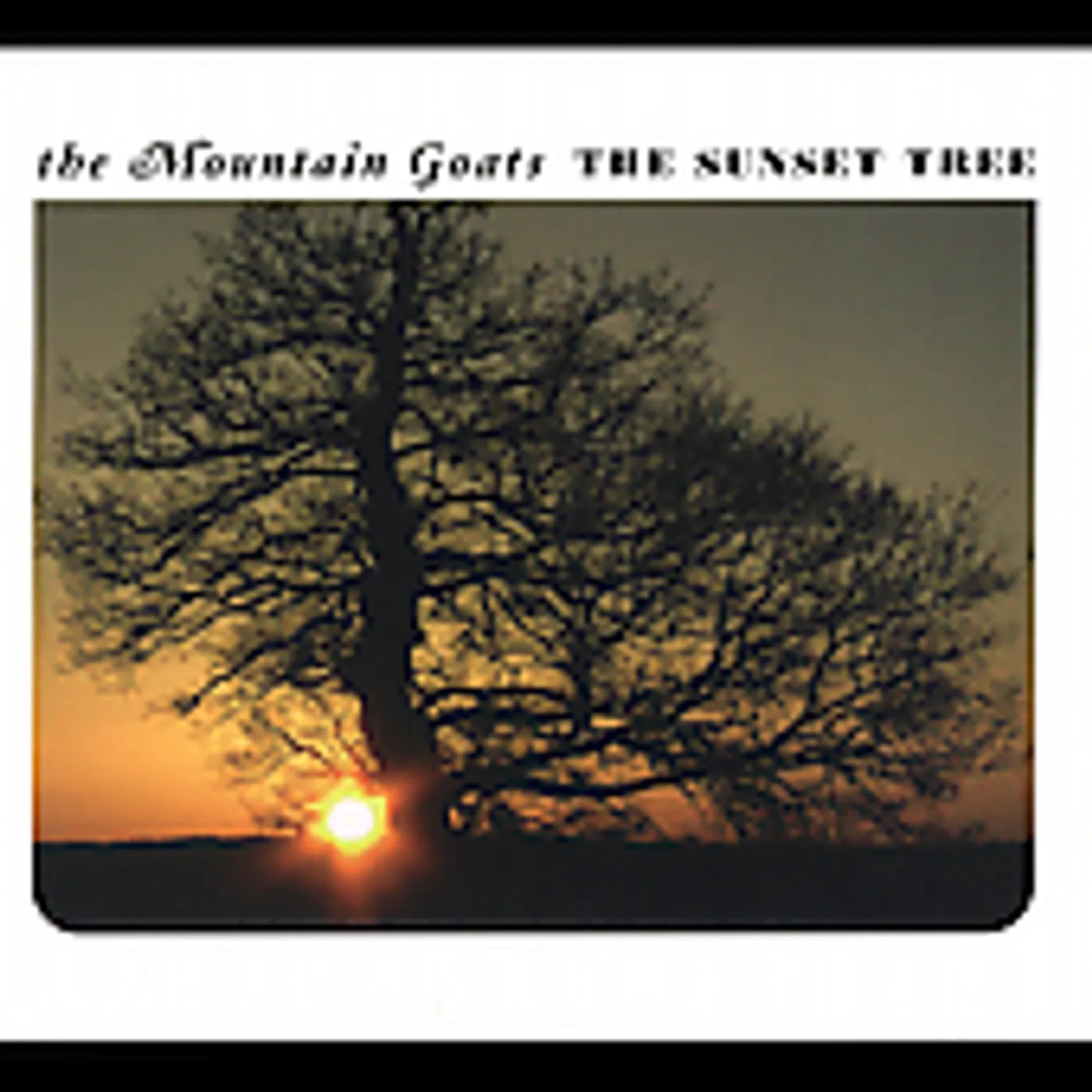The Mountain Goats SUNSET TREE CD