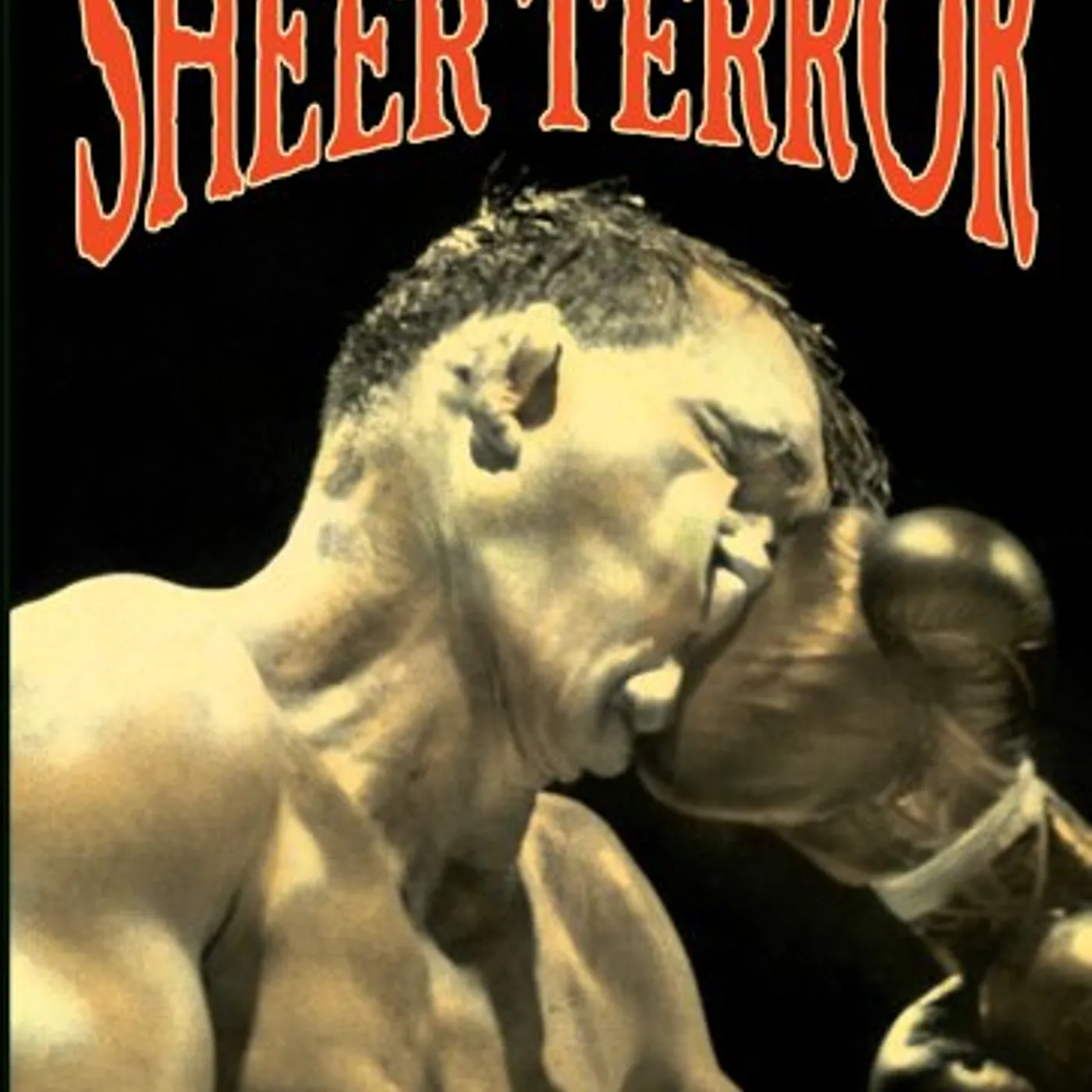 Sheer Terror BEATEN BY THE FISTS OF GOD DVD