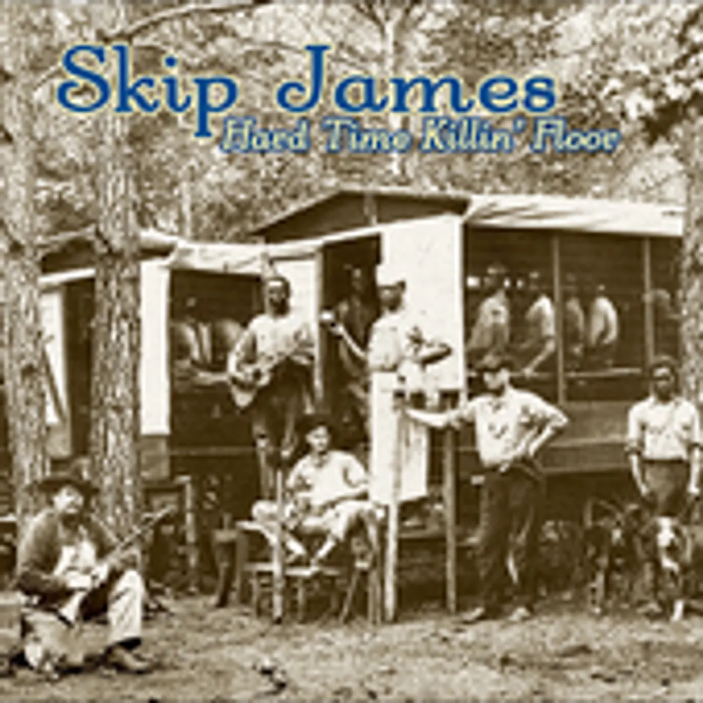 Skip James HARD TIMES KILLIN FLOOR CD