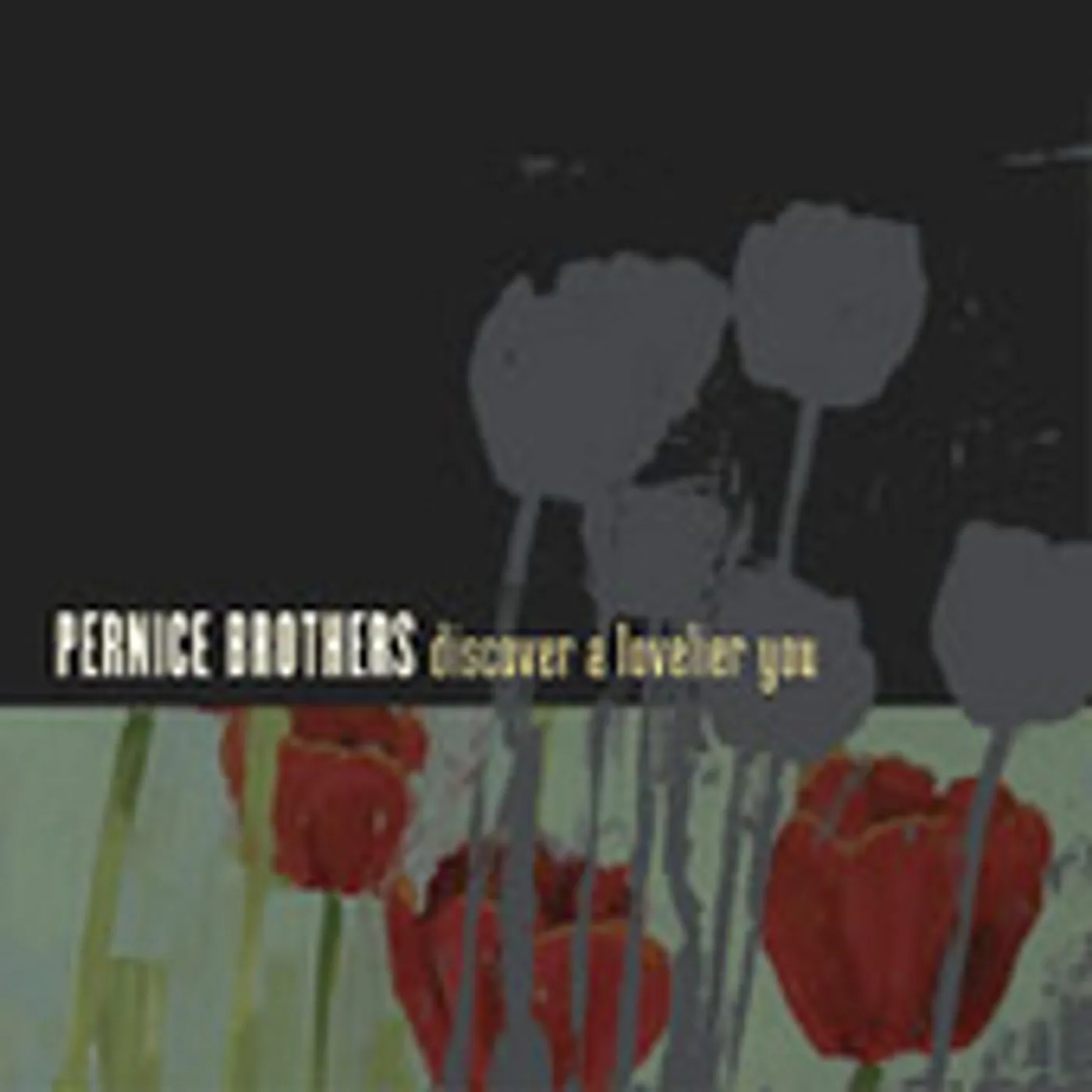 Pernice Brothers DISCOVER A LOVELIER YOU CD
