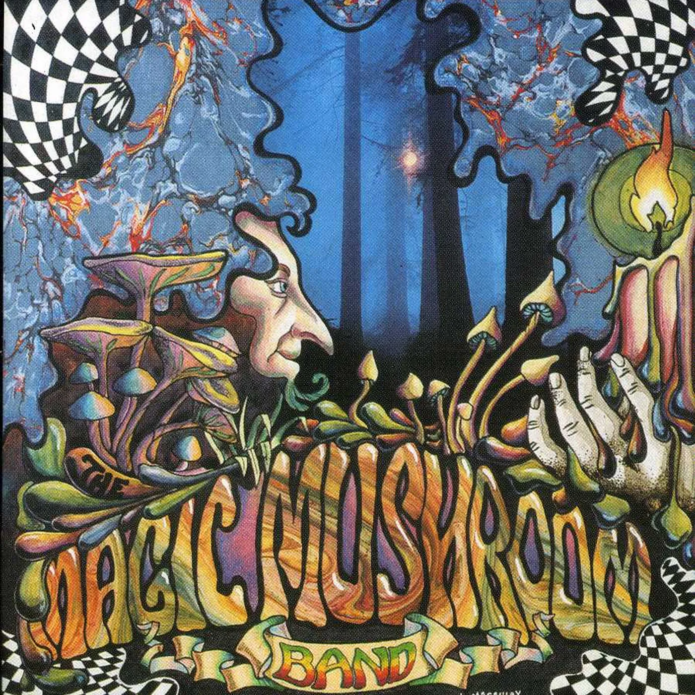 Magic Mushroom Band RE-HASH CD