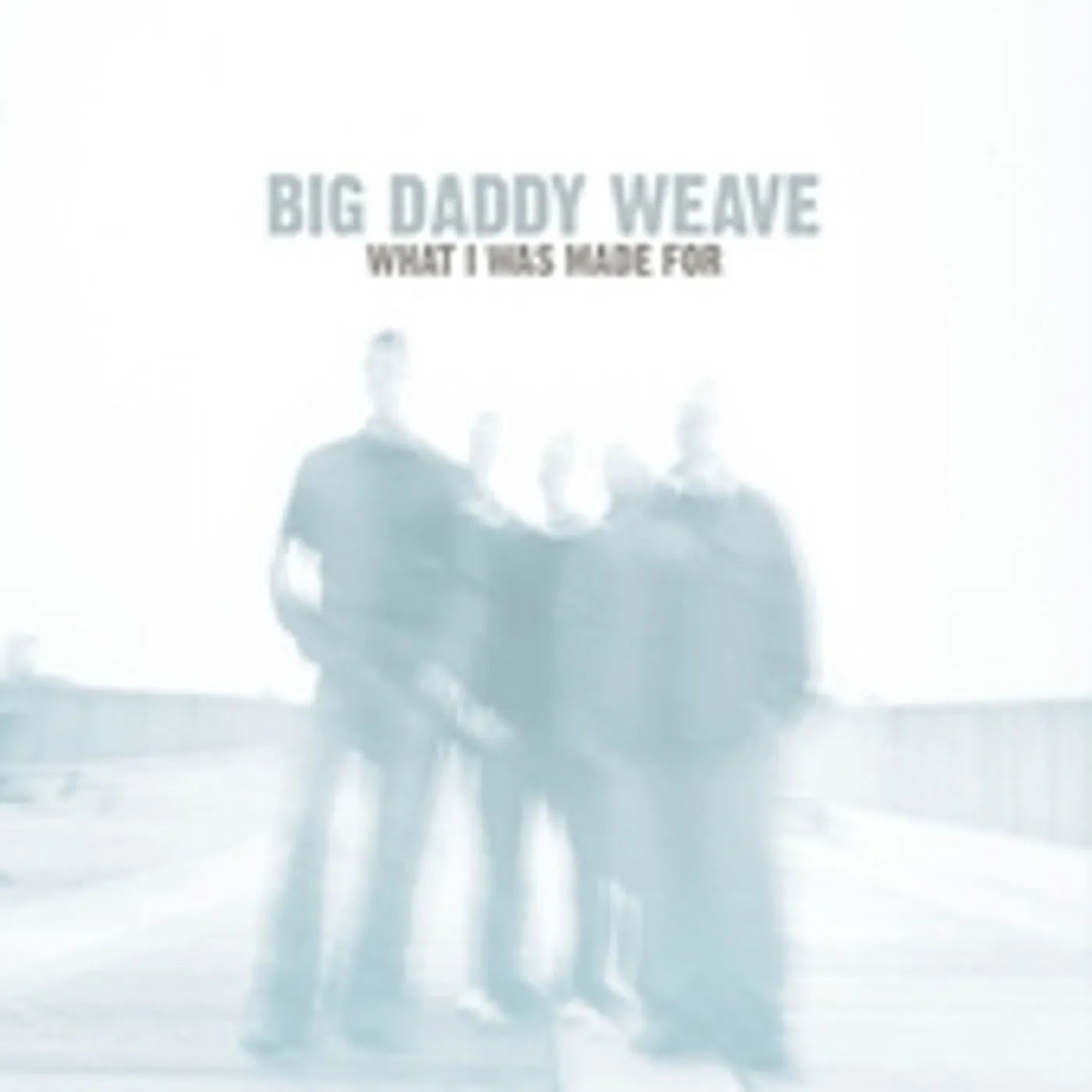 Big Daddy Weave WHAT I WAS MADE FOR CD