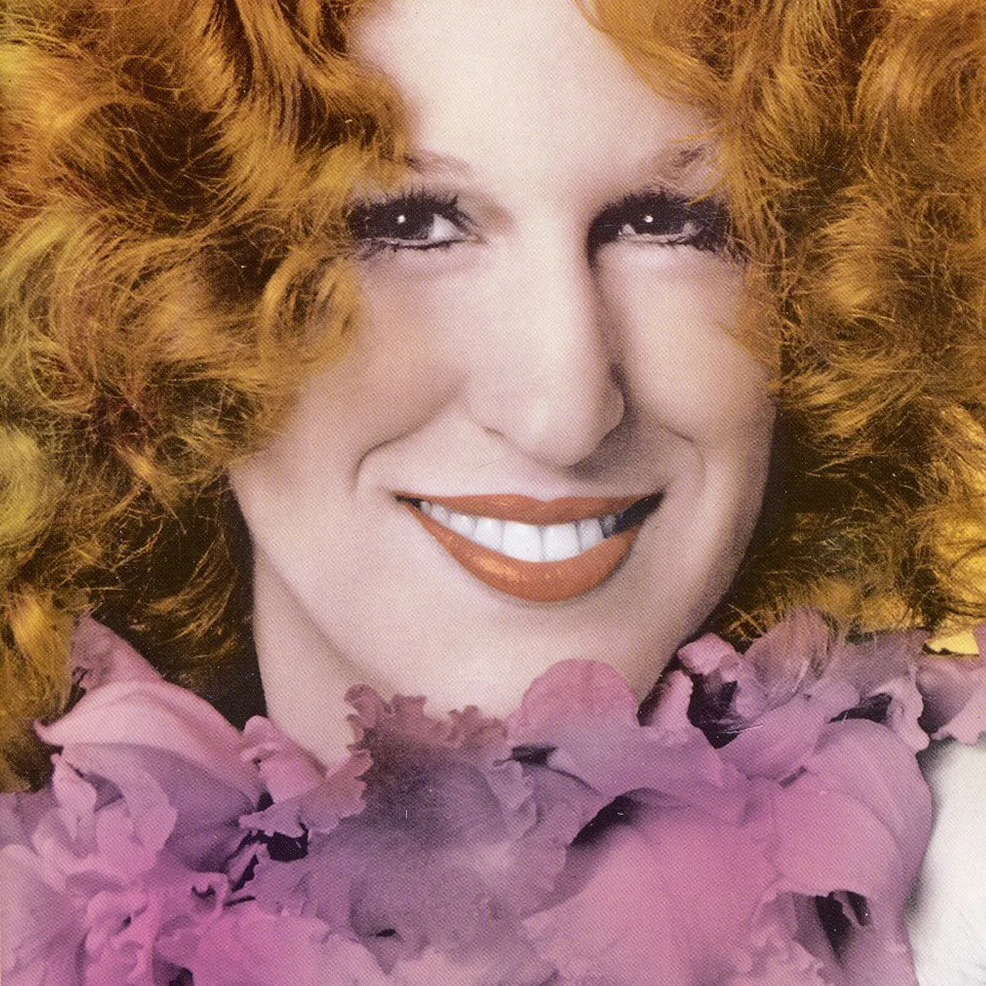 DIVINE BETTE MIDLER DVD
