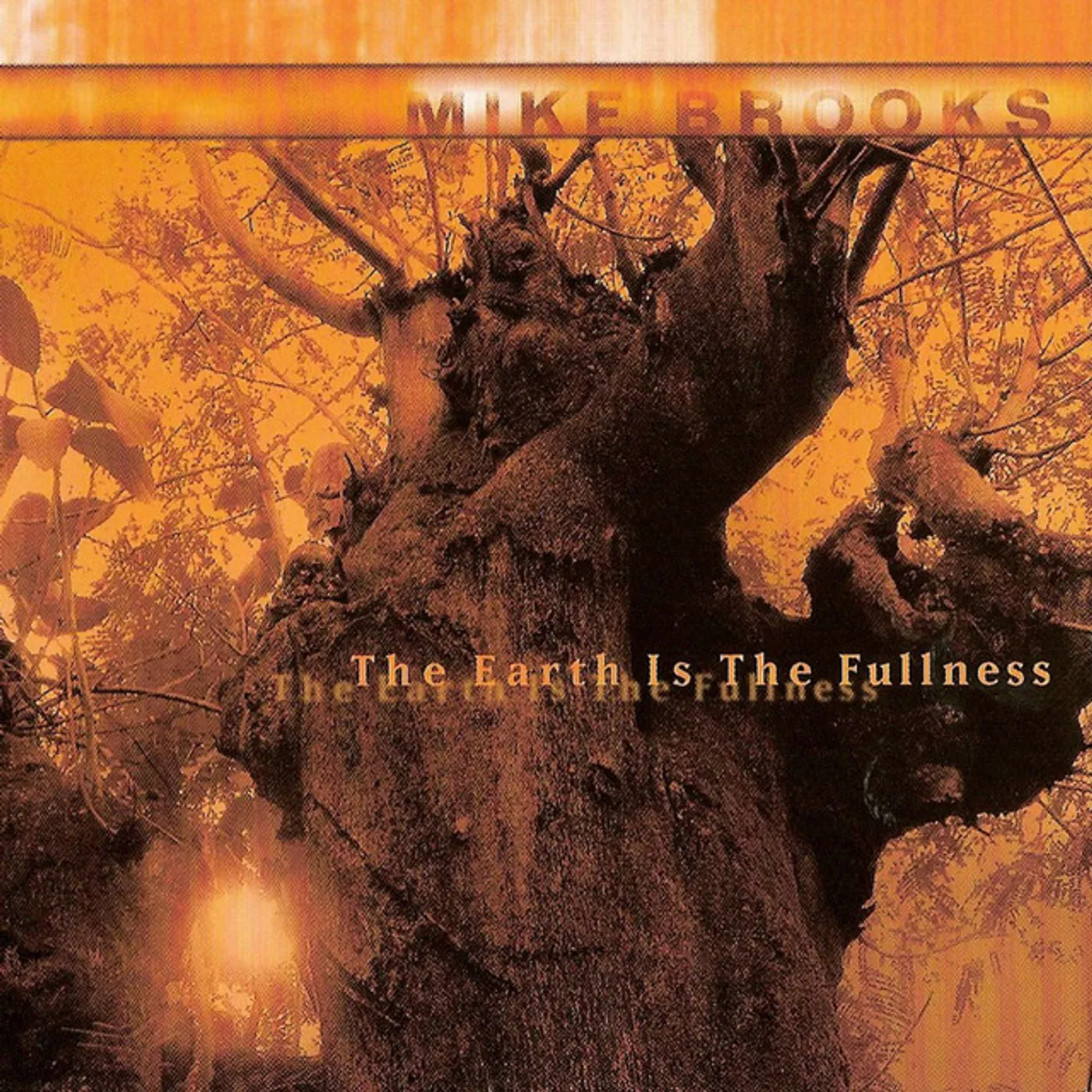 Mike Brooks EARTH IS THE FULLNESS Vinyl Record
