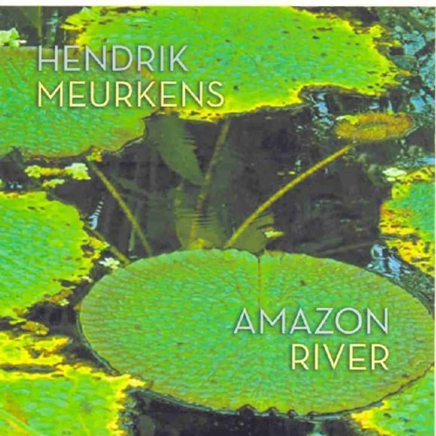 Hendrik Meurkens AMAZON RIVER CD