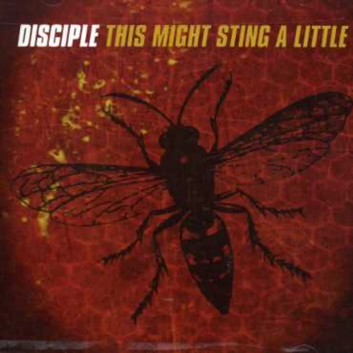 Disciple THIS MIGHT STING A LITTLE CD