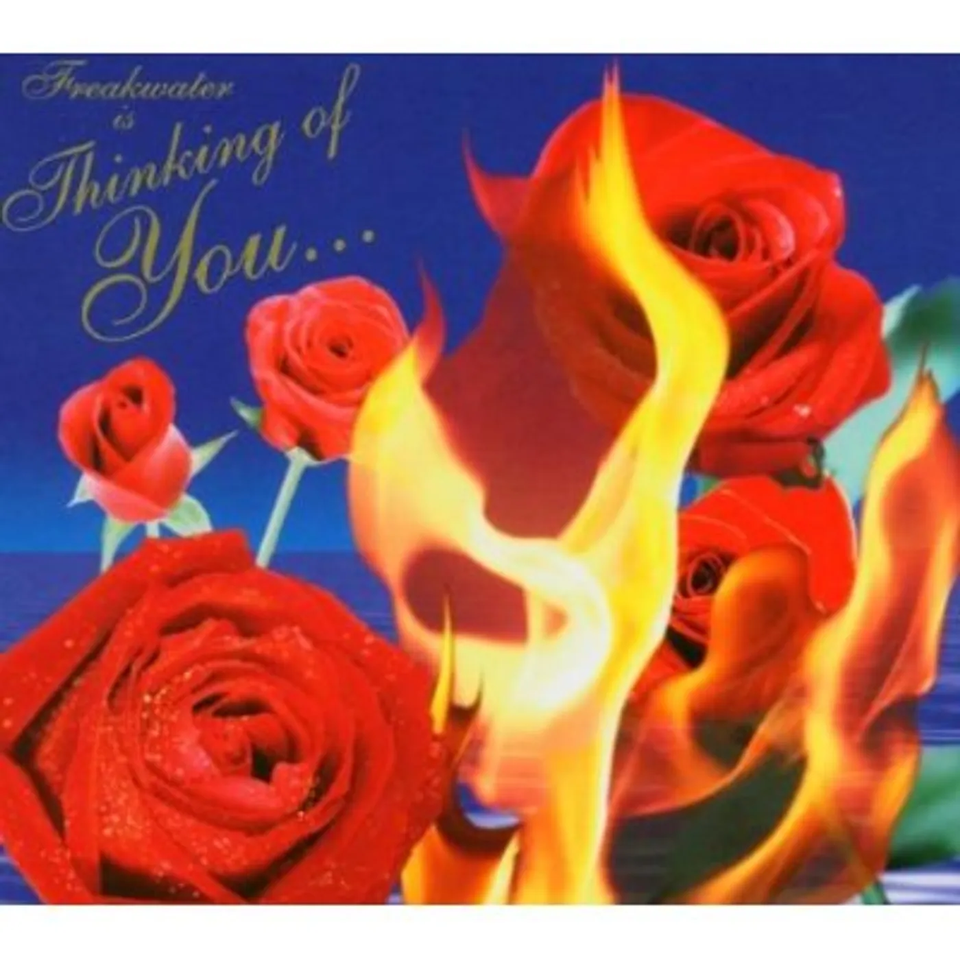 Freakwater THINKING OF YOU CD