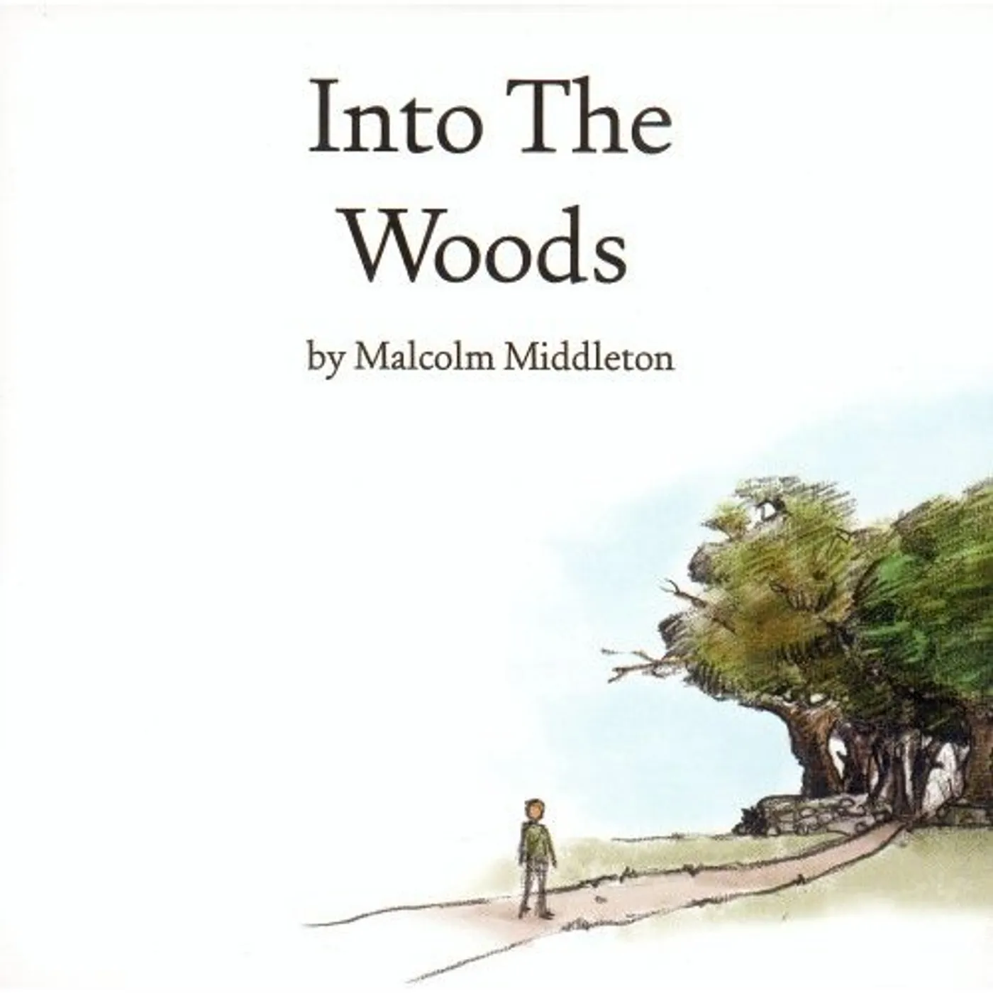 Malcolm Middleton INTO THE WOODS CD