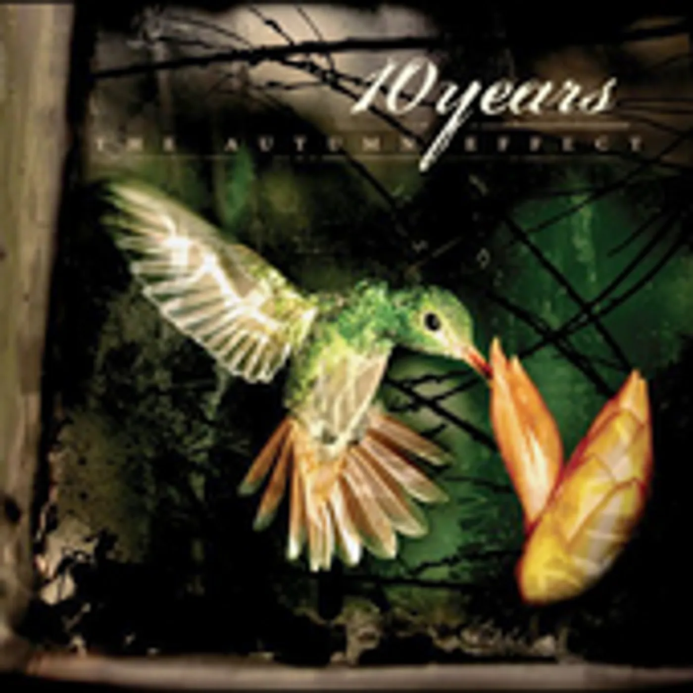 10 Years AUTUMN EFFECT CD