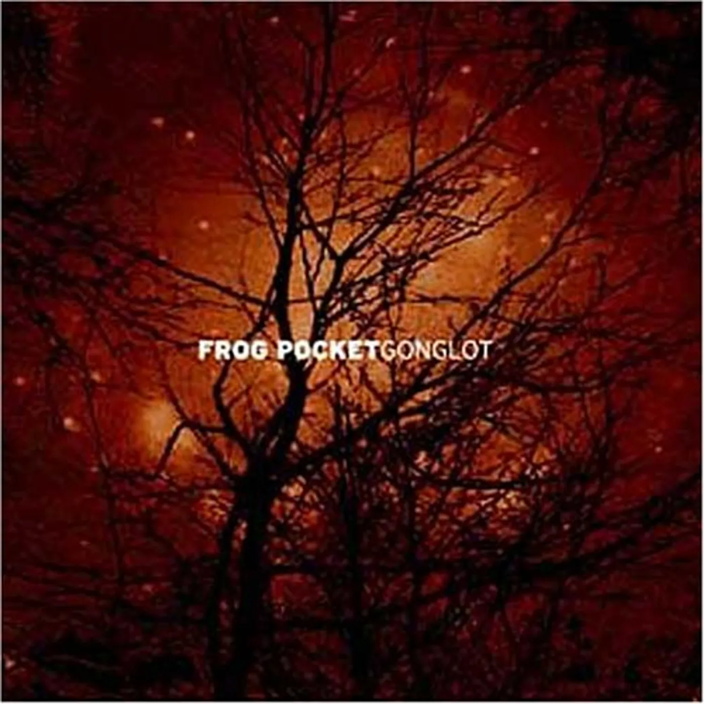 Frog Pocket GONGLOT CD