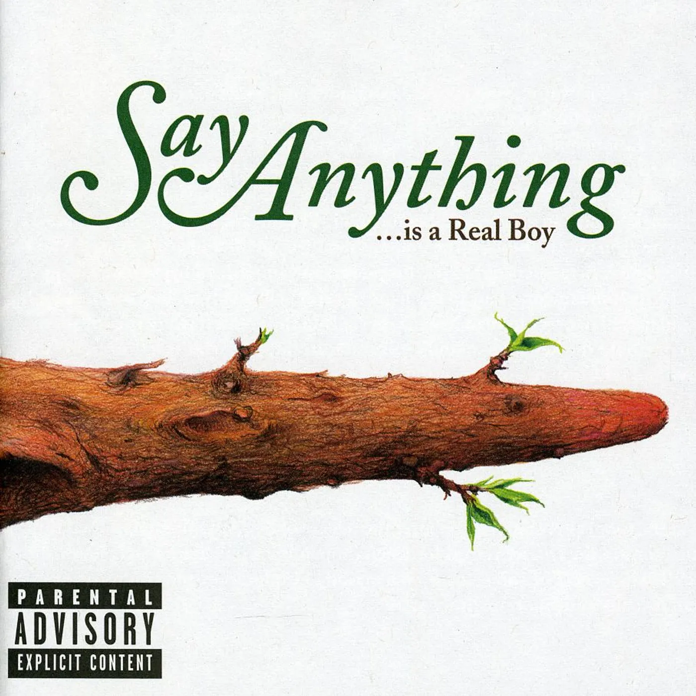 Say Anything IS A REAL BOY CD