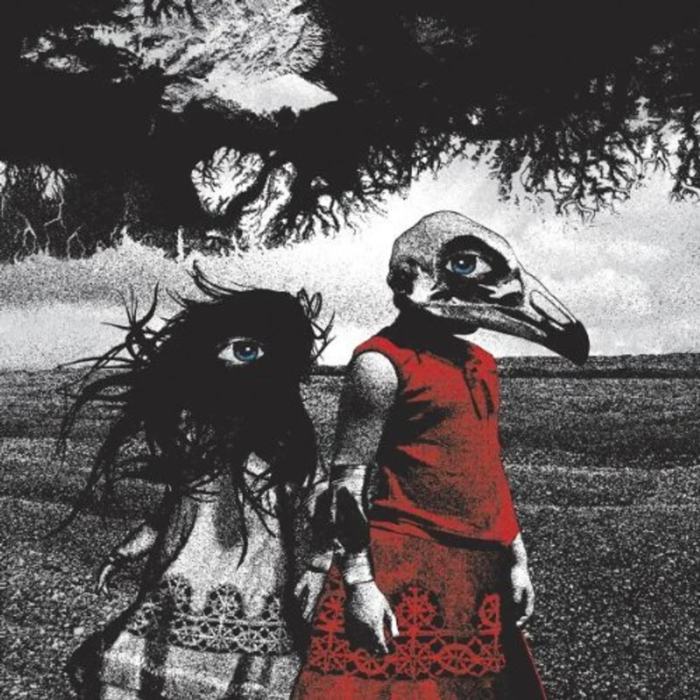 Standard ALBATROSS CD