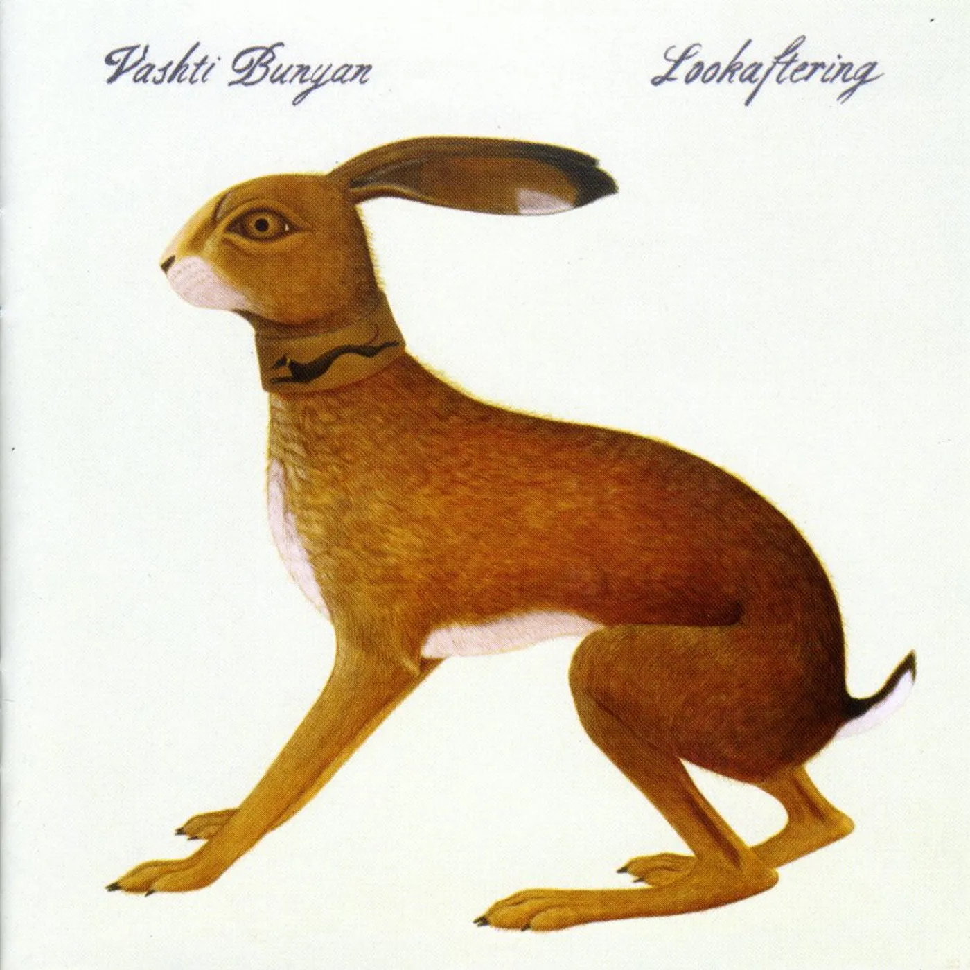 Vashti Bunyan LOOKAFTERING CD
