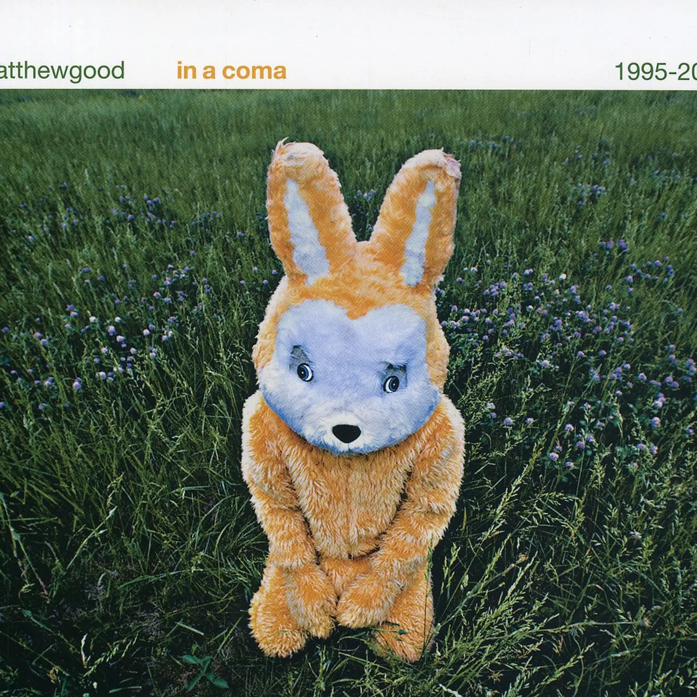 Matthew Good IN A COMA: 1995-2005 CD