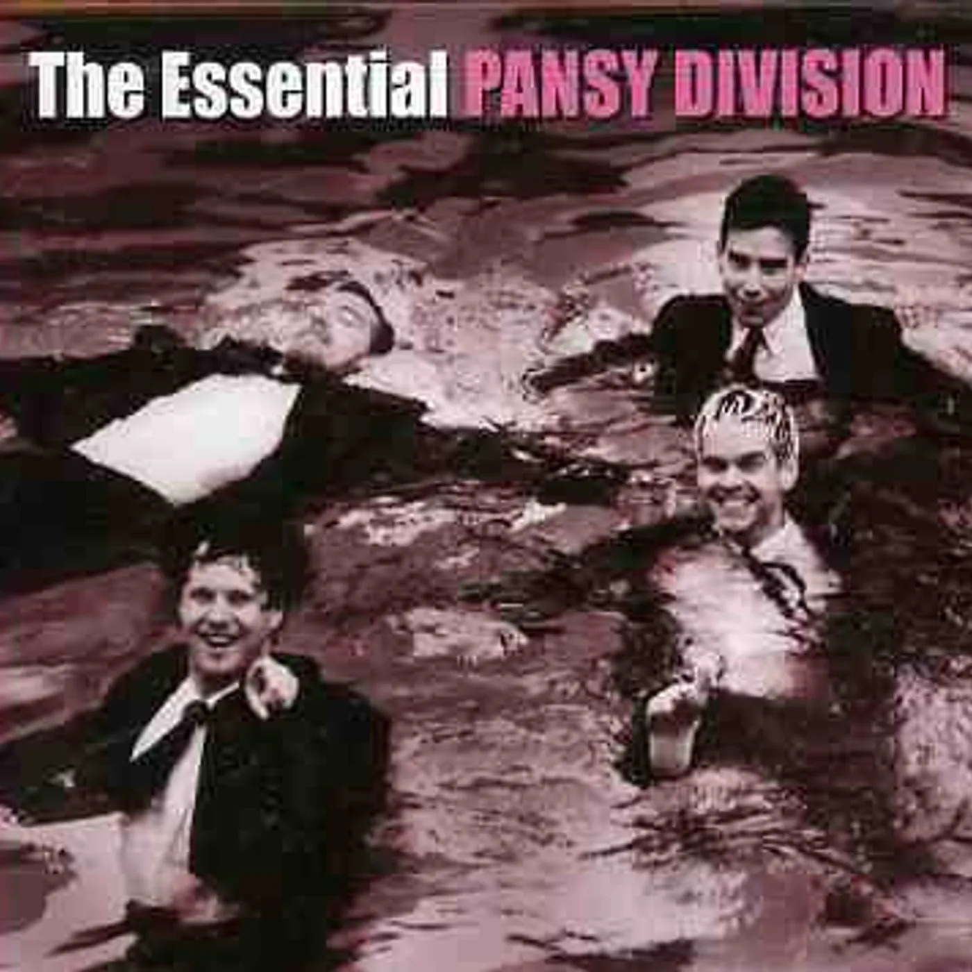 ESSENTIAL PANSY DIVISION CD