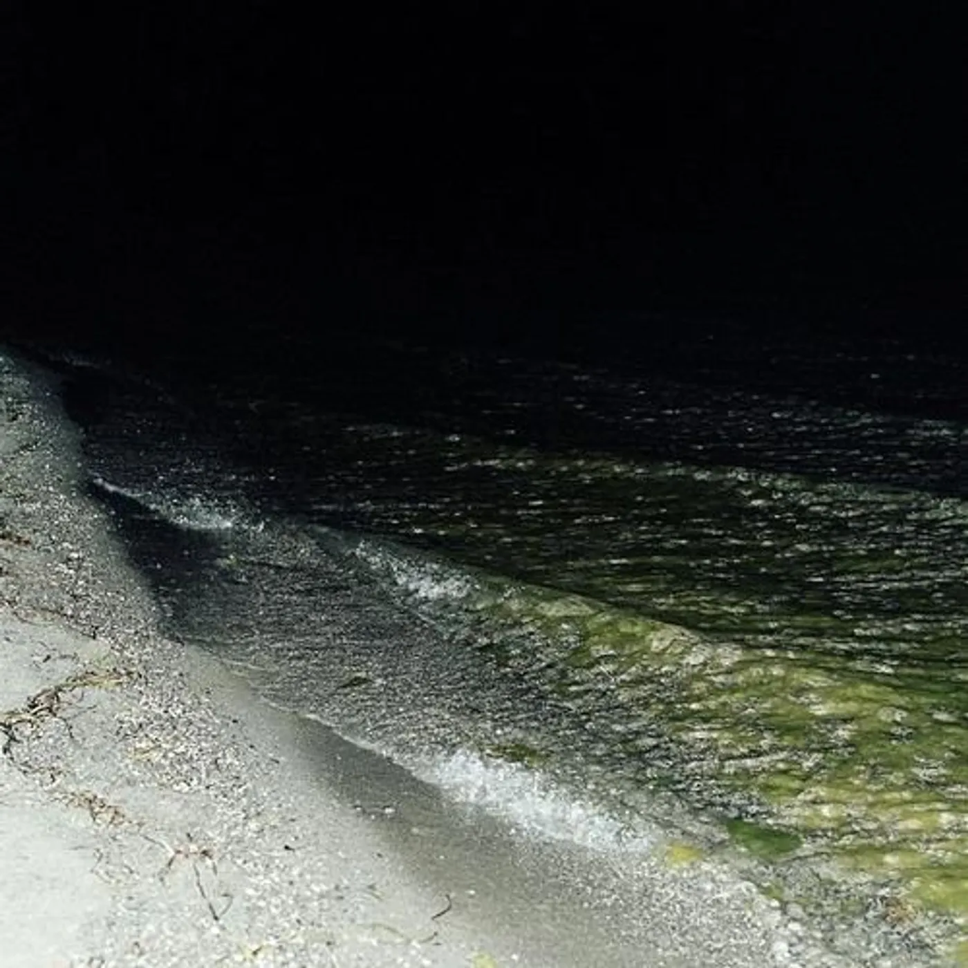 Pellarin TANGO Vinyl Record