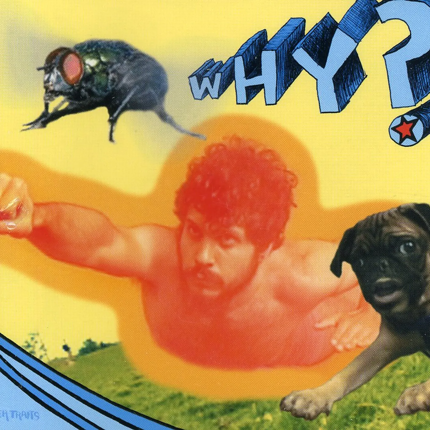 Why RUBBER TRAITS CD