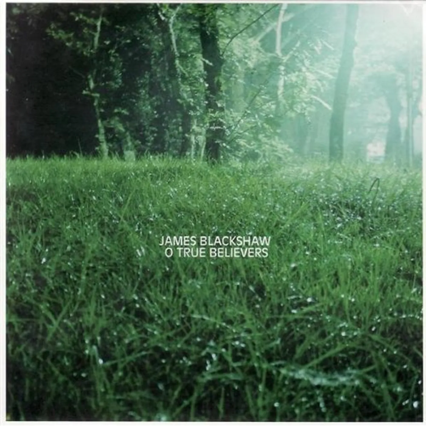 James Blackshaw O TRUE BELIEVERS CD