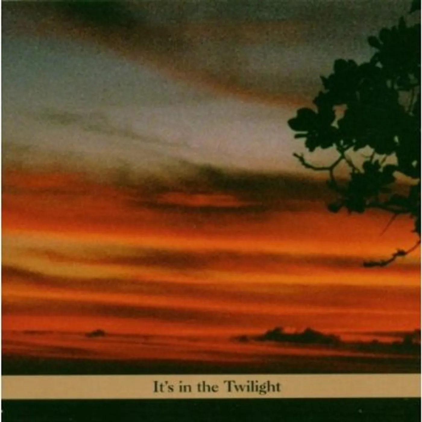 Paul Shapiro IT'S IN THE TWILIGHT CD
