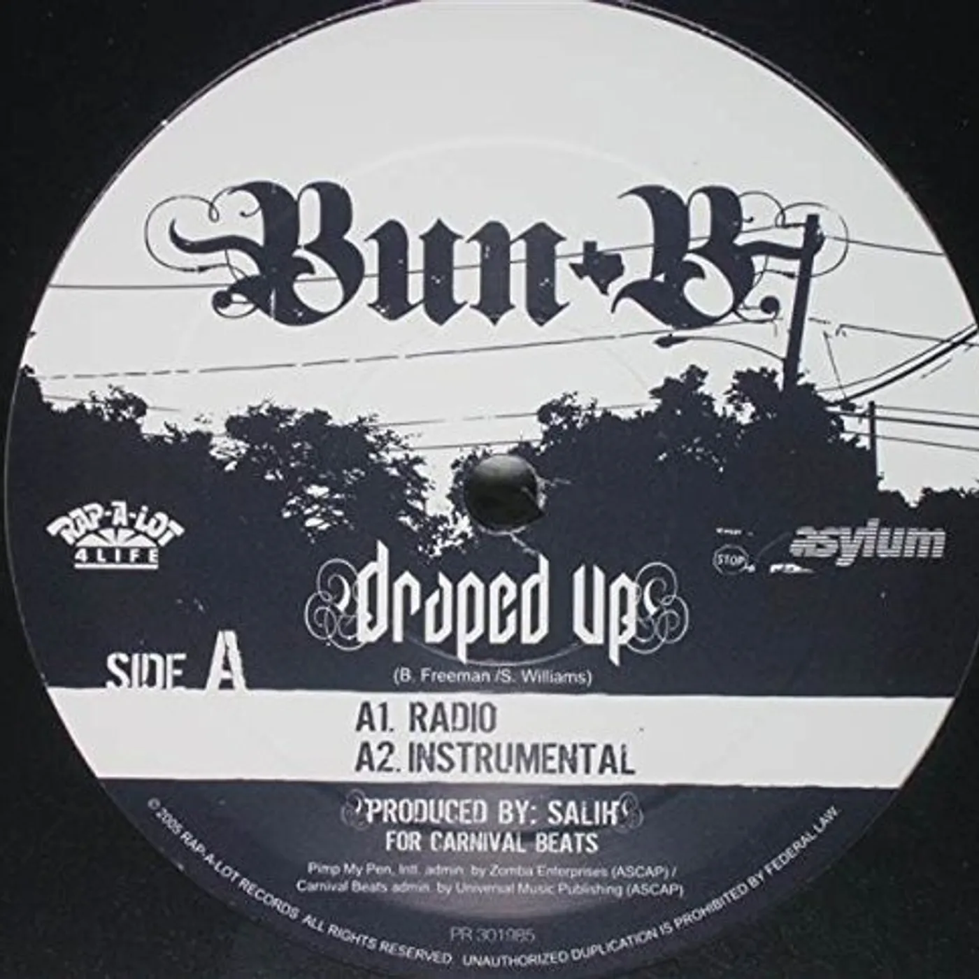 Bun B Draped Up Vinyl Record