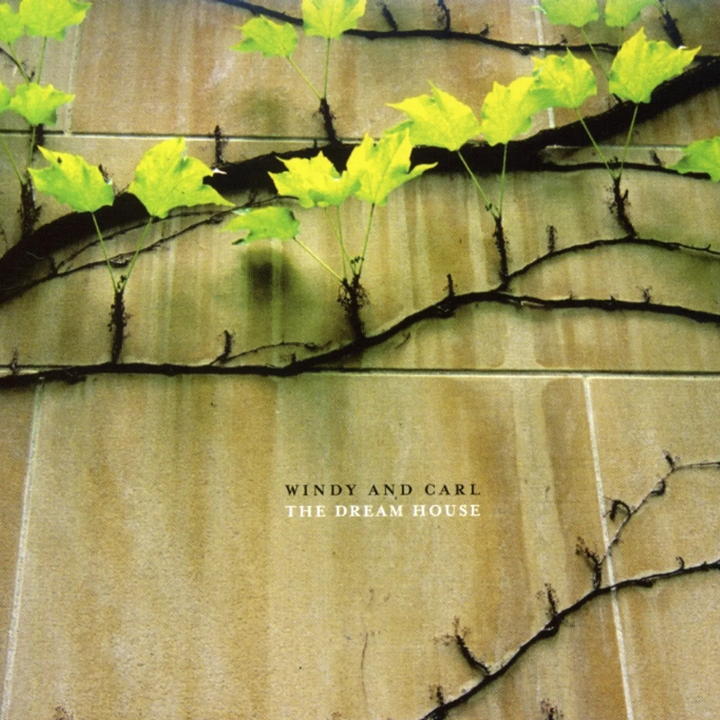 Windy & Carl DREAM HOUSE / DEDICATIONS TO FLEA CD