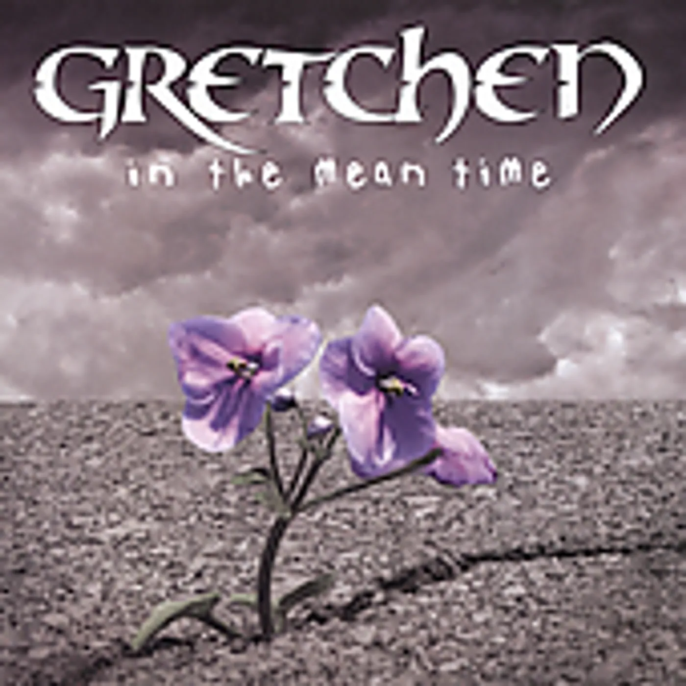 Gretchen IN THE MEAN TIME CD