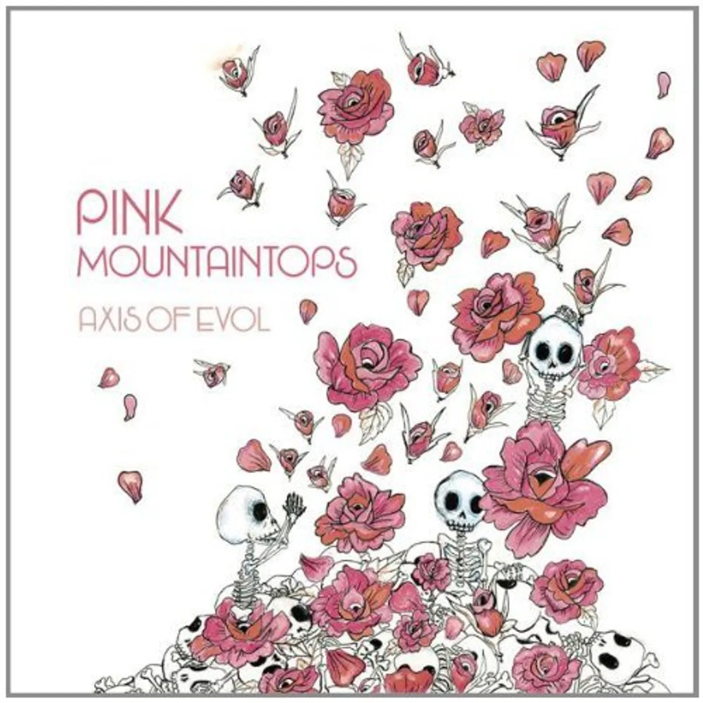 Pink Mountaintops AXIS OF EVOL CD