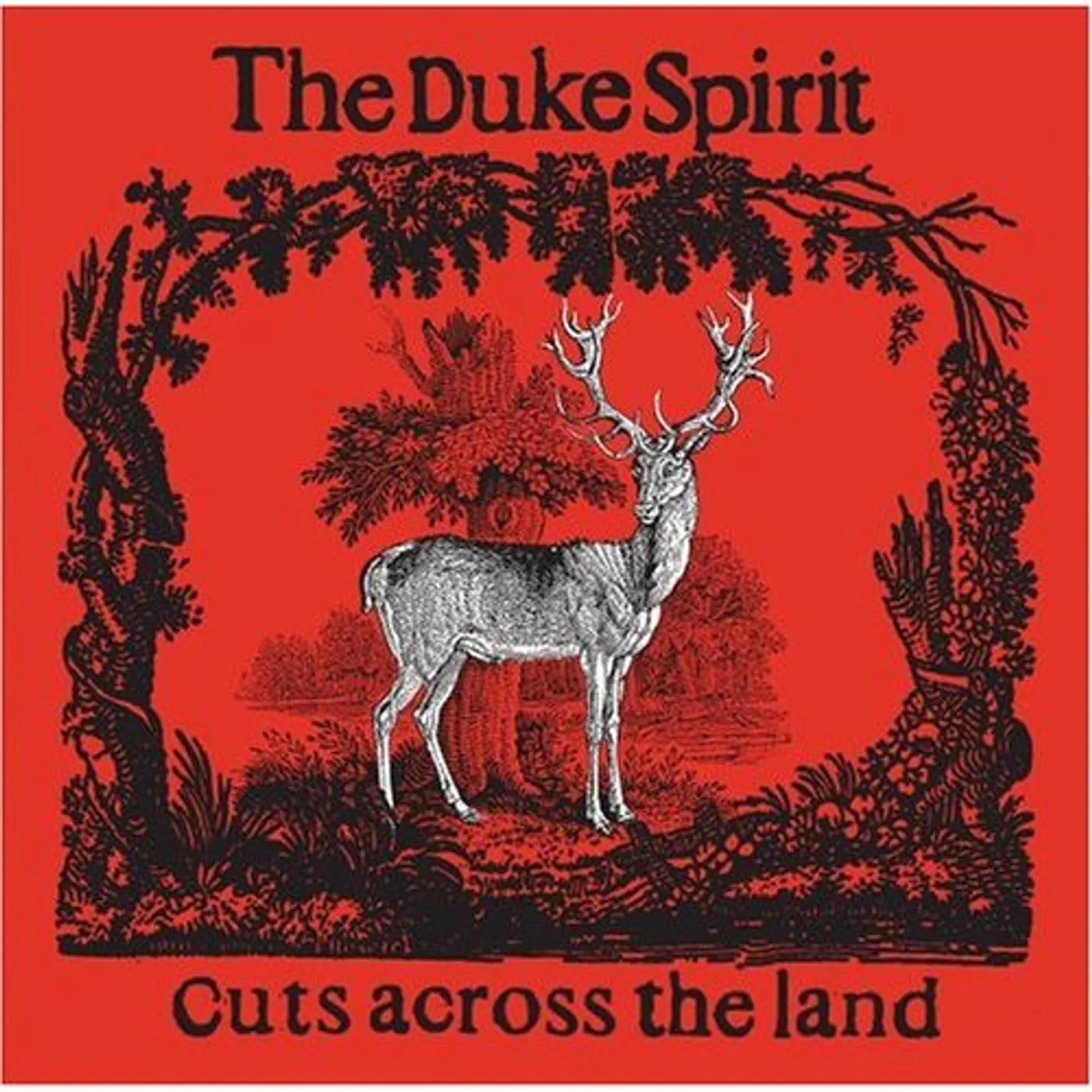 The Duke Spirit CUTS ACROSS THE LAND CD