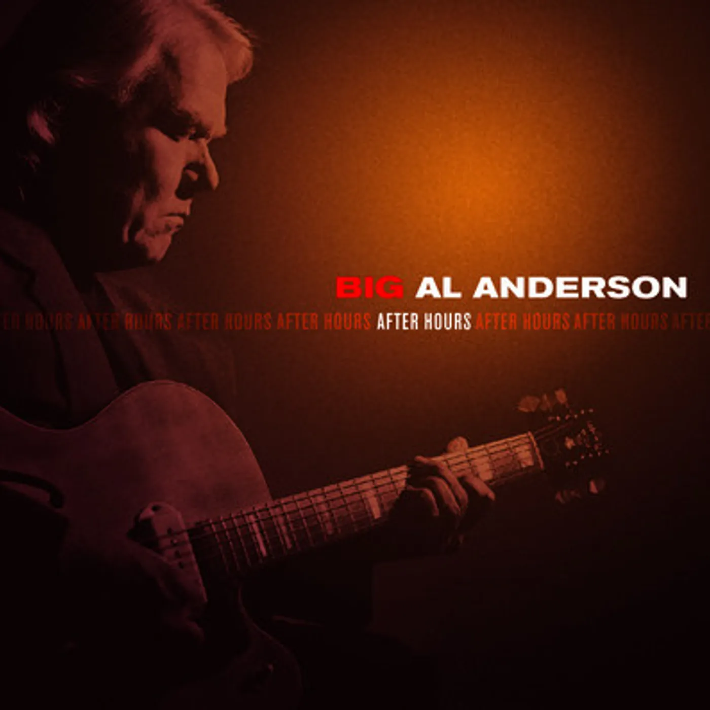 Al Anderson AFTER HOURS CD