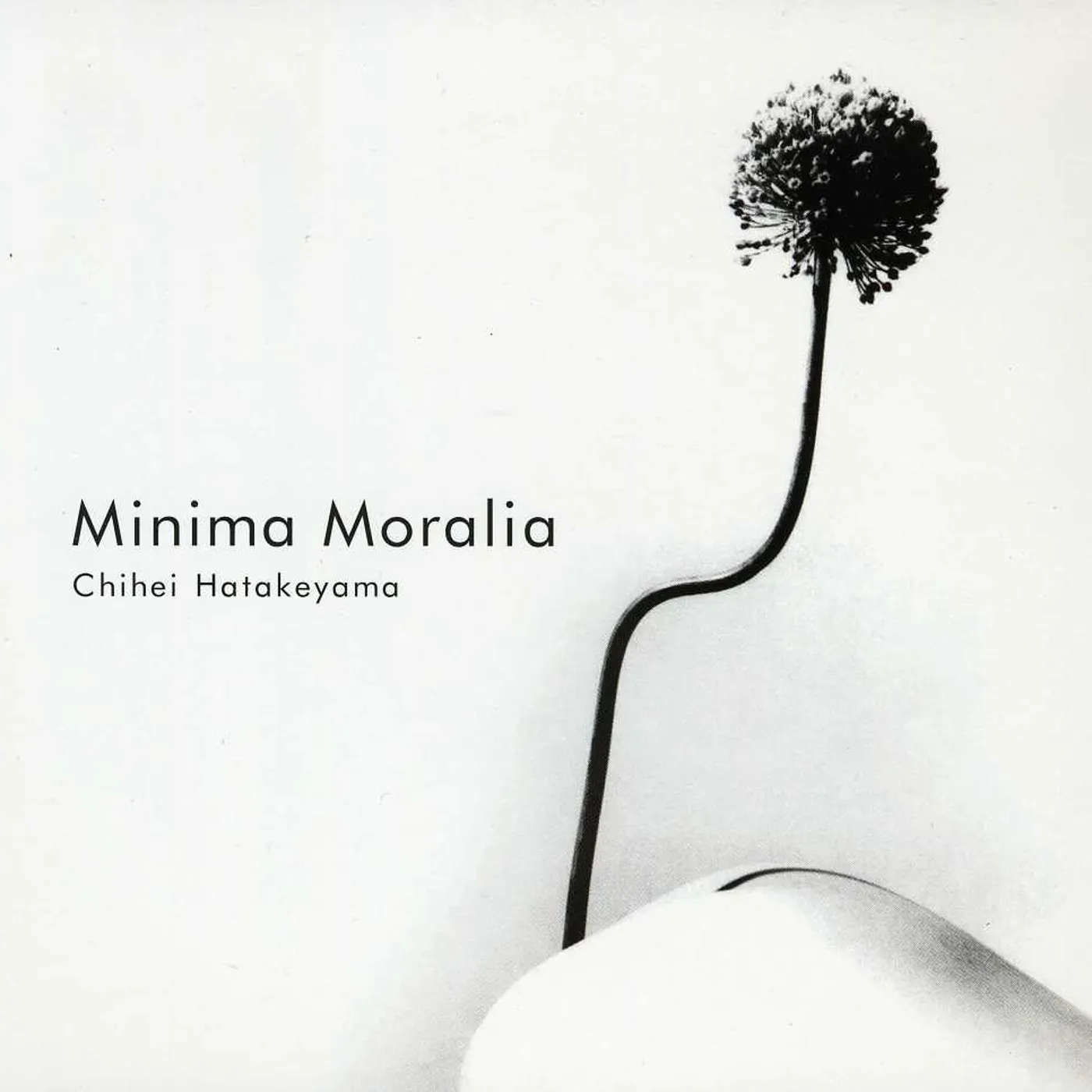 Chihei Hatakeyama MINIMA MORALIA CD
