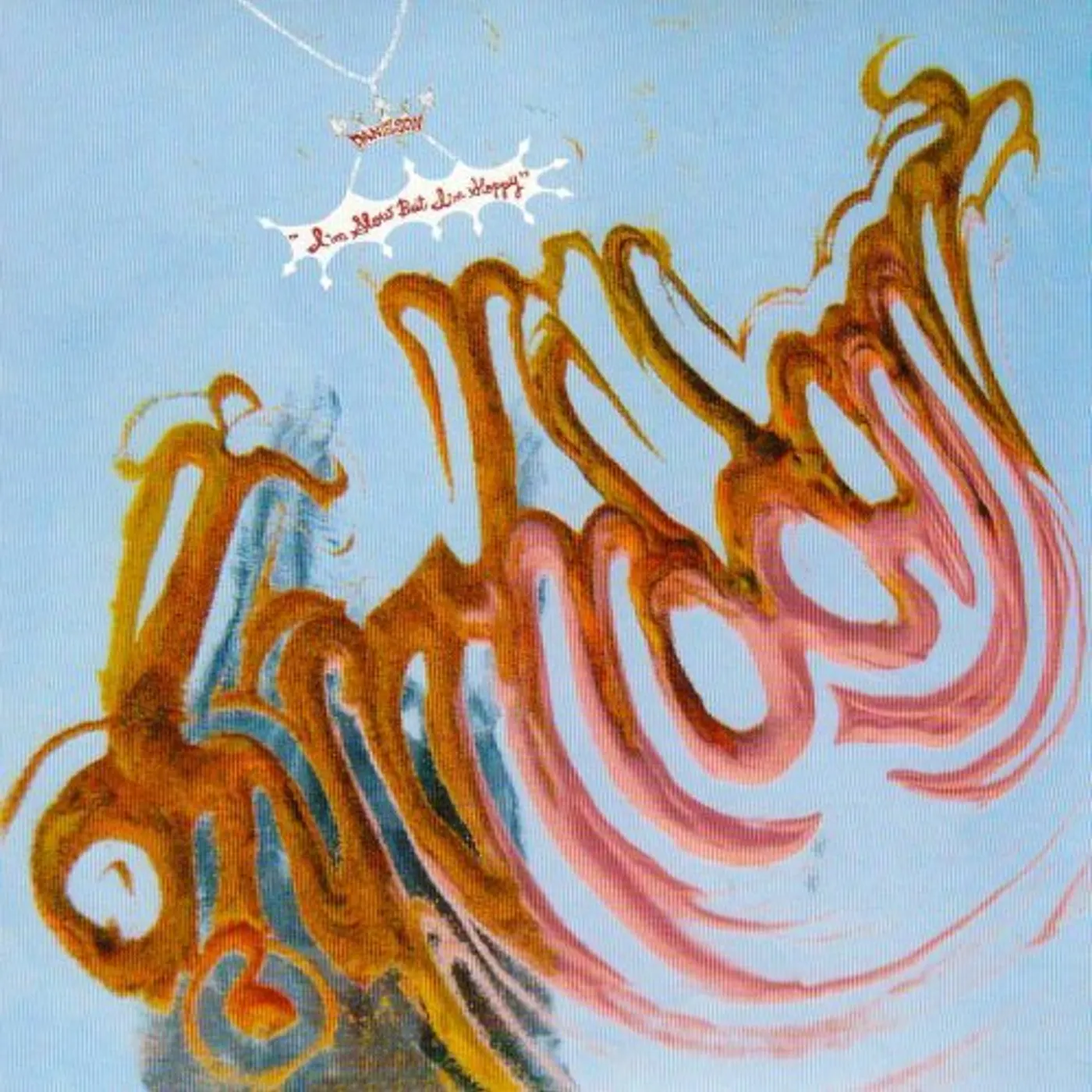 Danielson I'M SLOW BUT I'M SLOPPY Vinyl Record