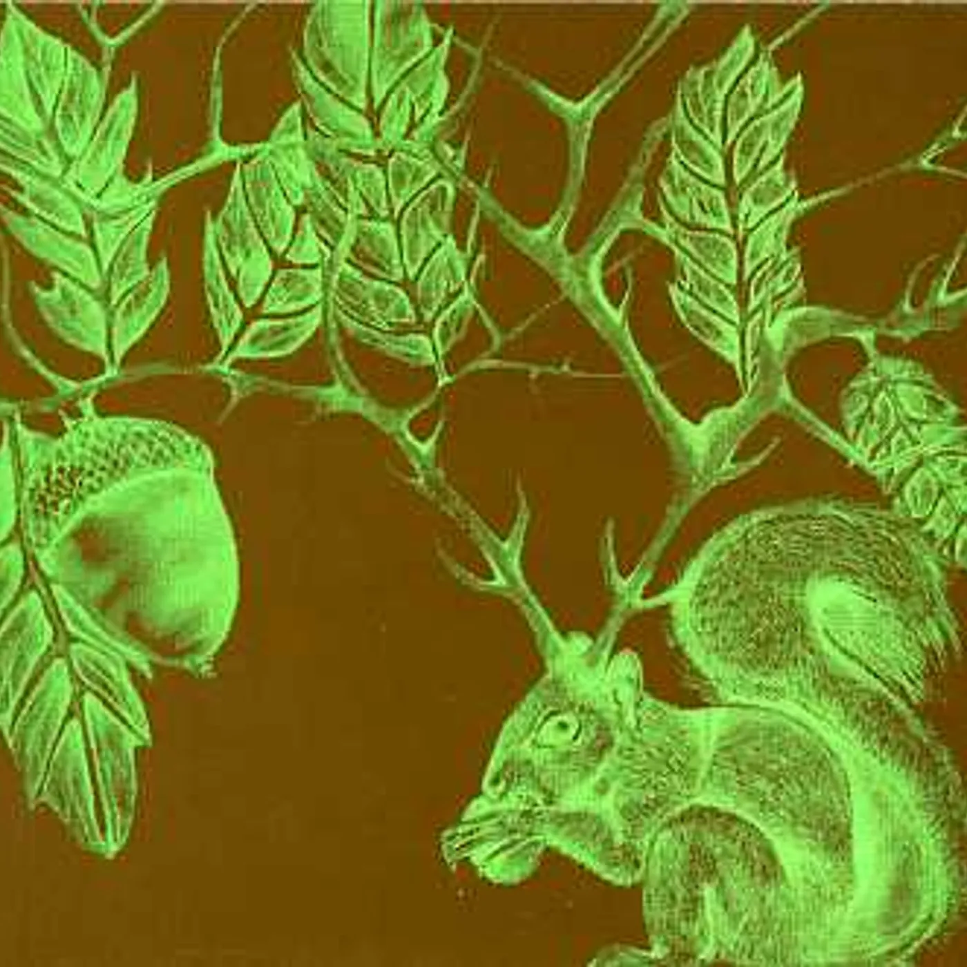 7 Year Rabbit Cycle ACHE HORNS CD