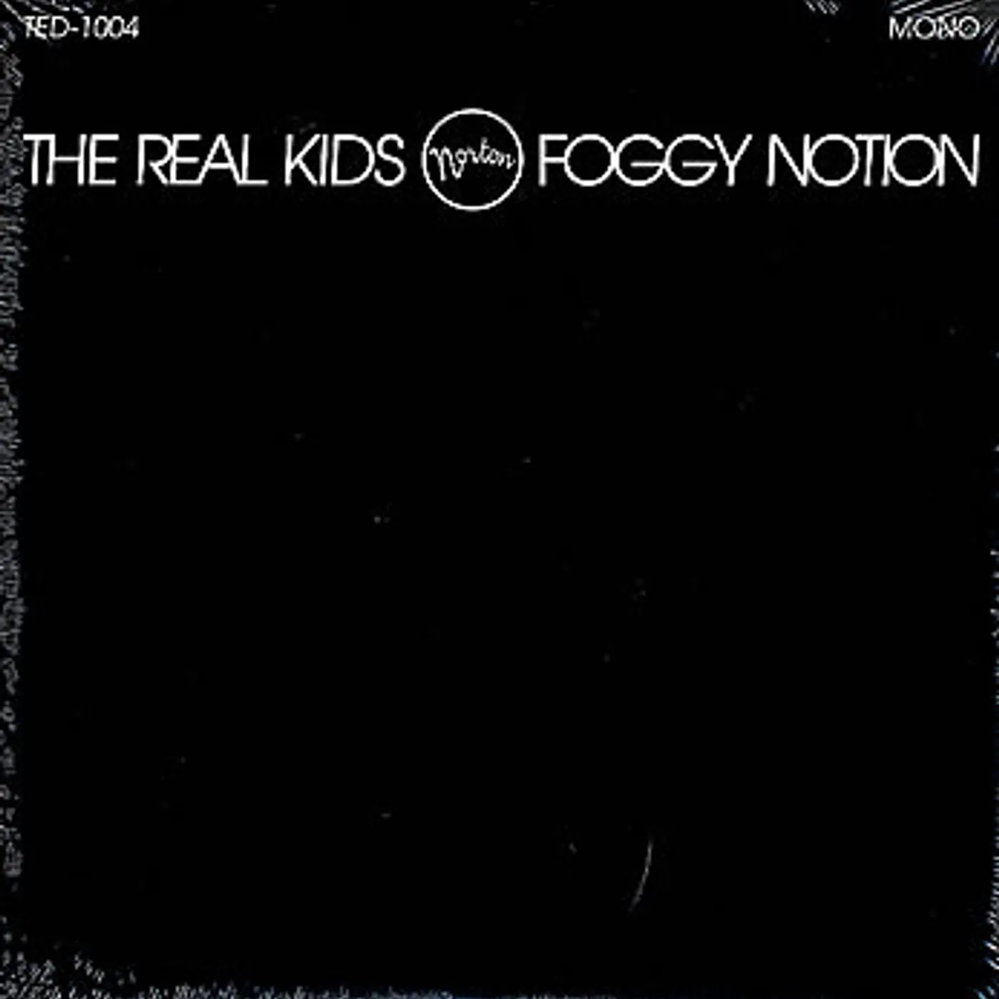 The Real Kids FOGGY NOTION Vinyl Record
