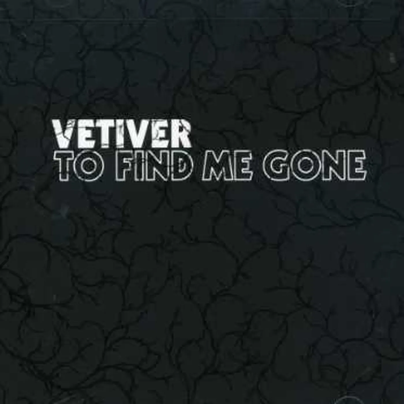 Vetiver TO FIND ME GONE CD