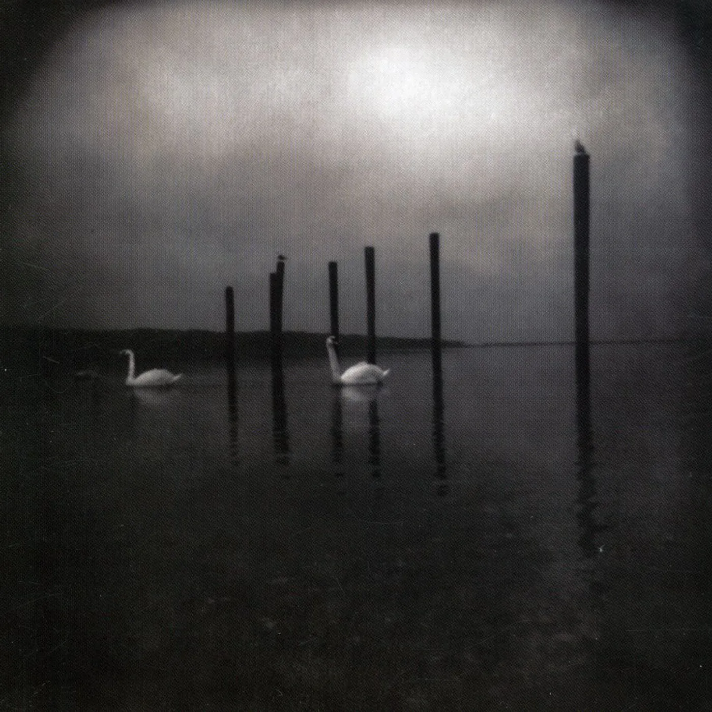 OM CONFERENCE OF THE BIRDS CD