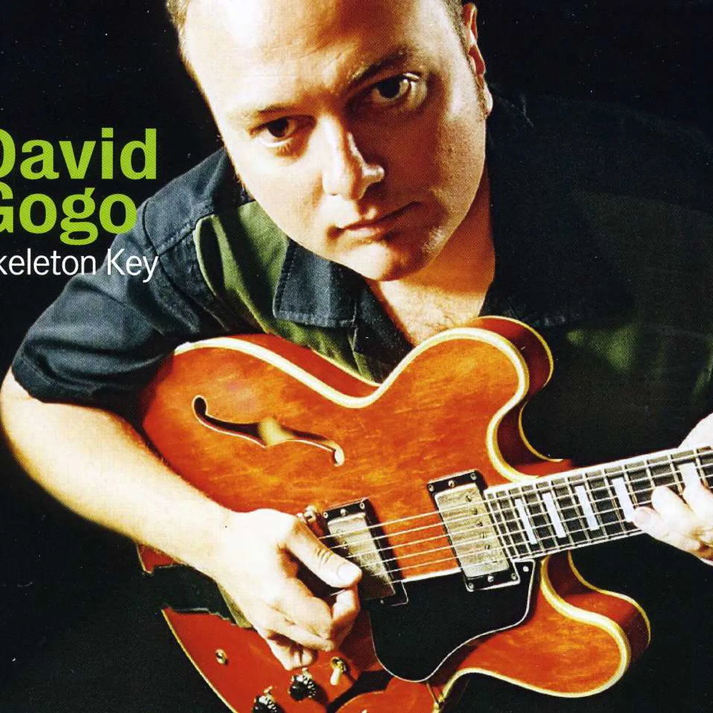 David Gogo SKELETON KEY CD