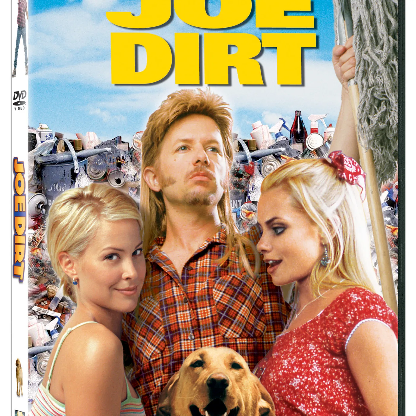 JOE DIRT DVD