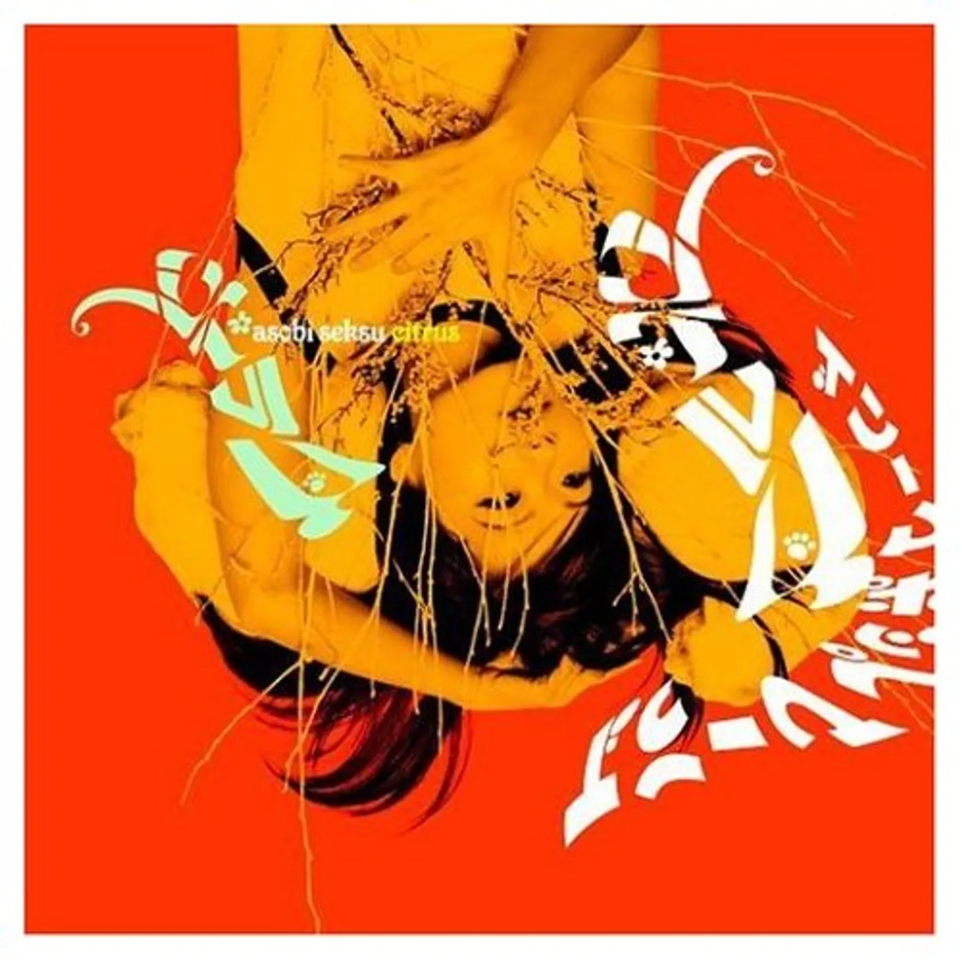 Asobi Seksu CITRUS CD