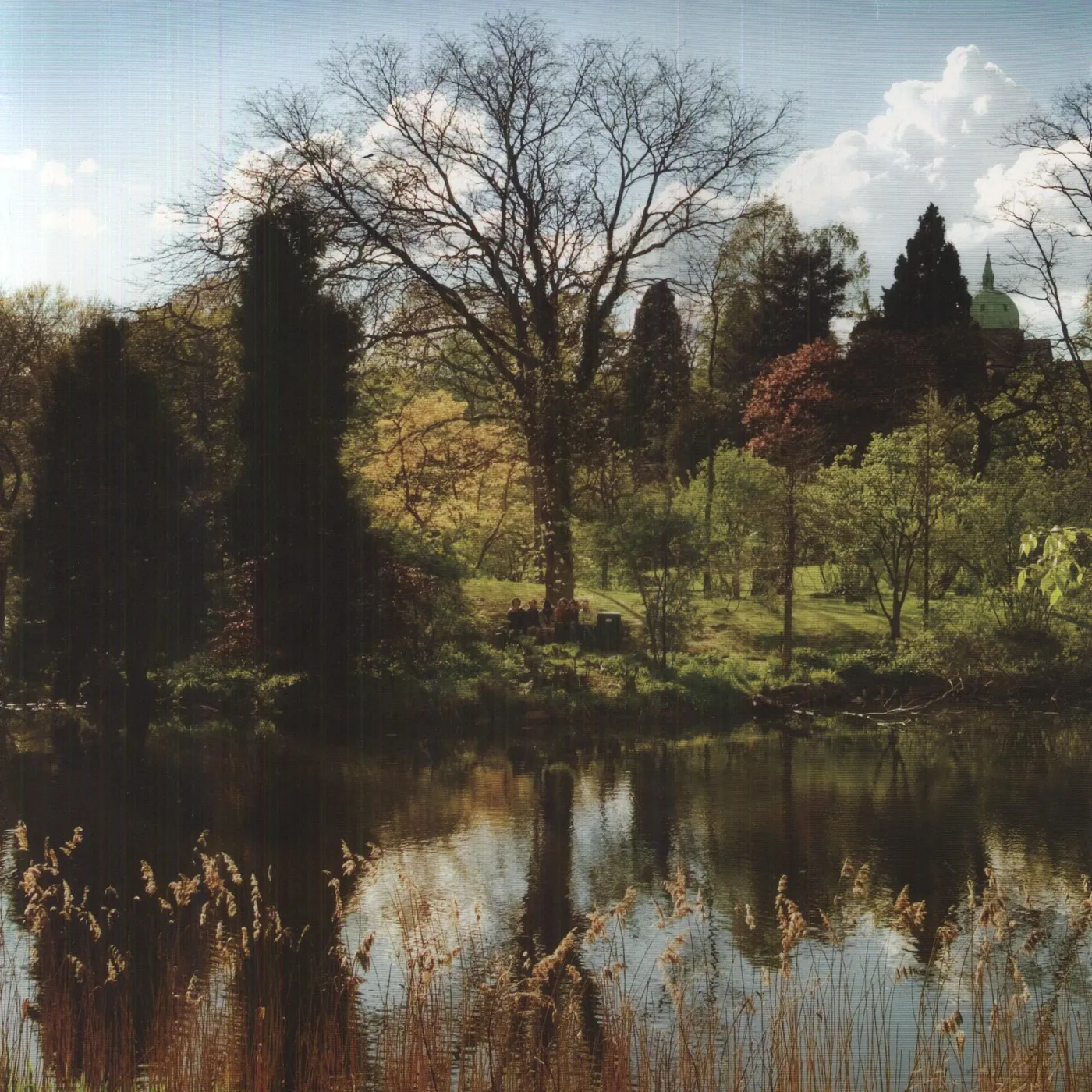 Efterklang ONE-SIDED Vinyl Record
