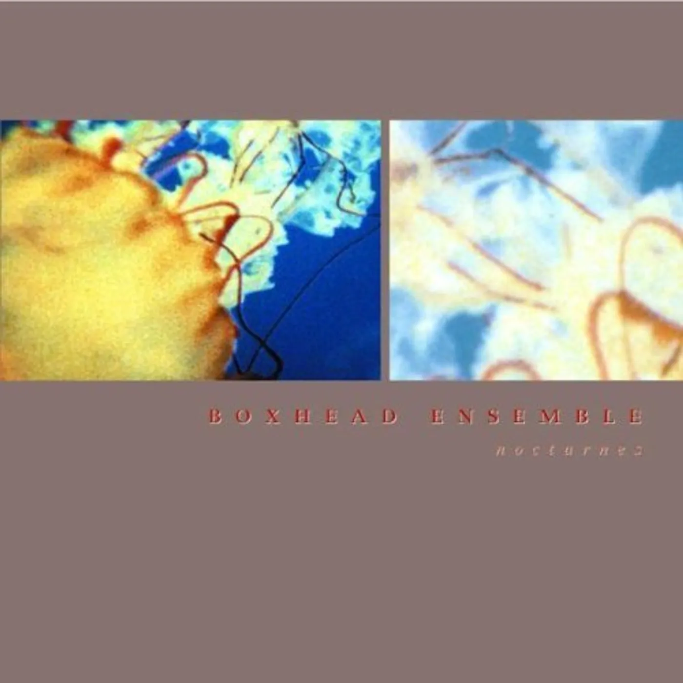 Boxhead Ensemble NOCTURNES CD