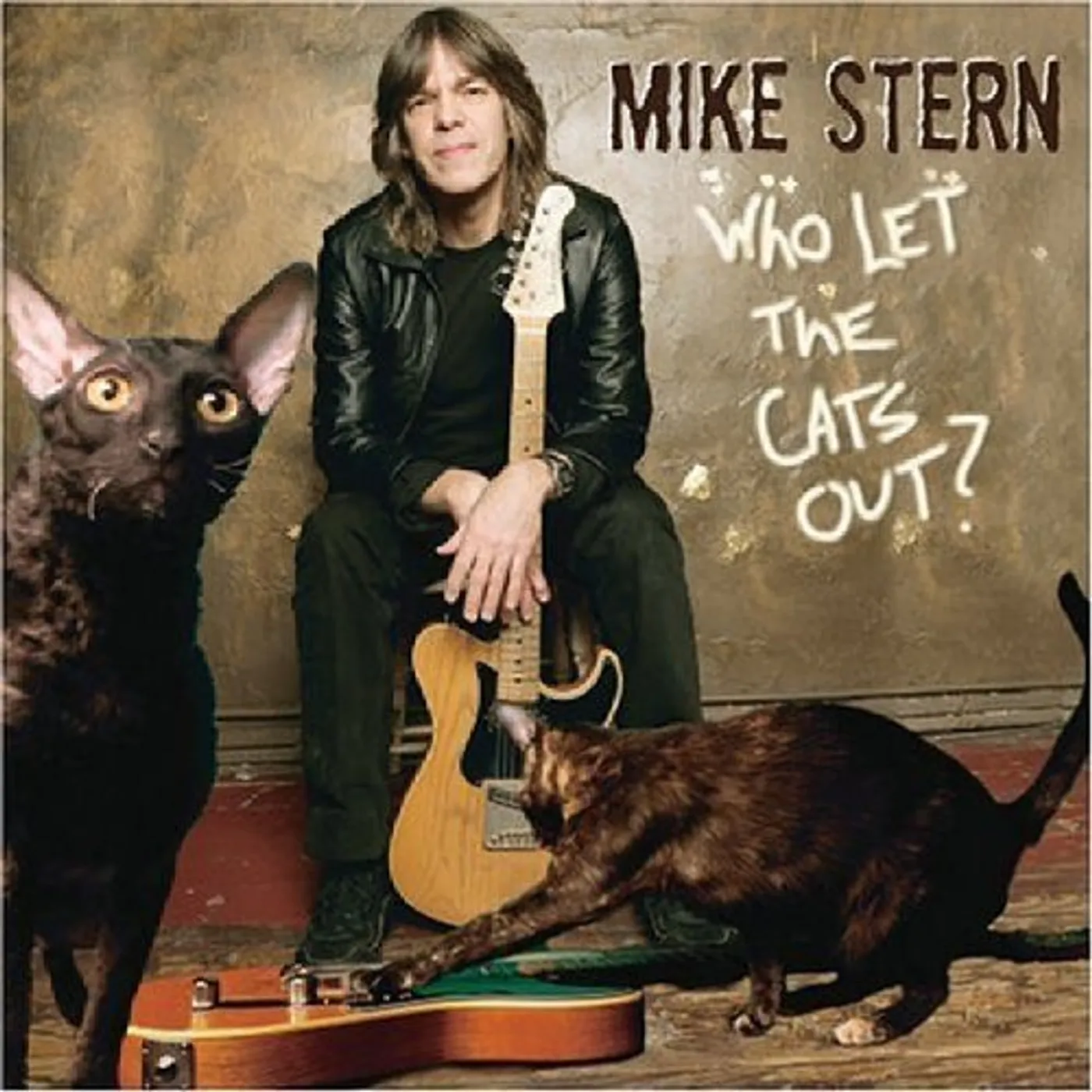 Mike Stern WHO LET THE CATS OUT CD