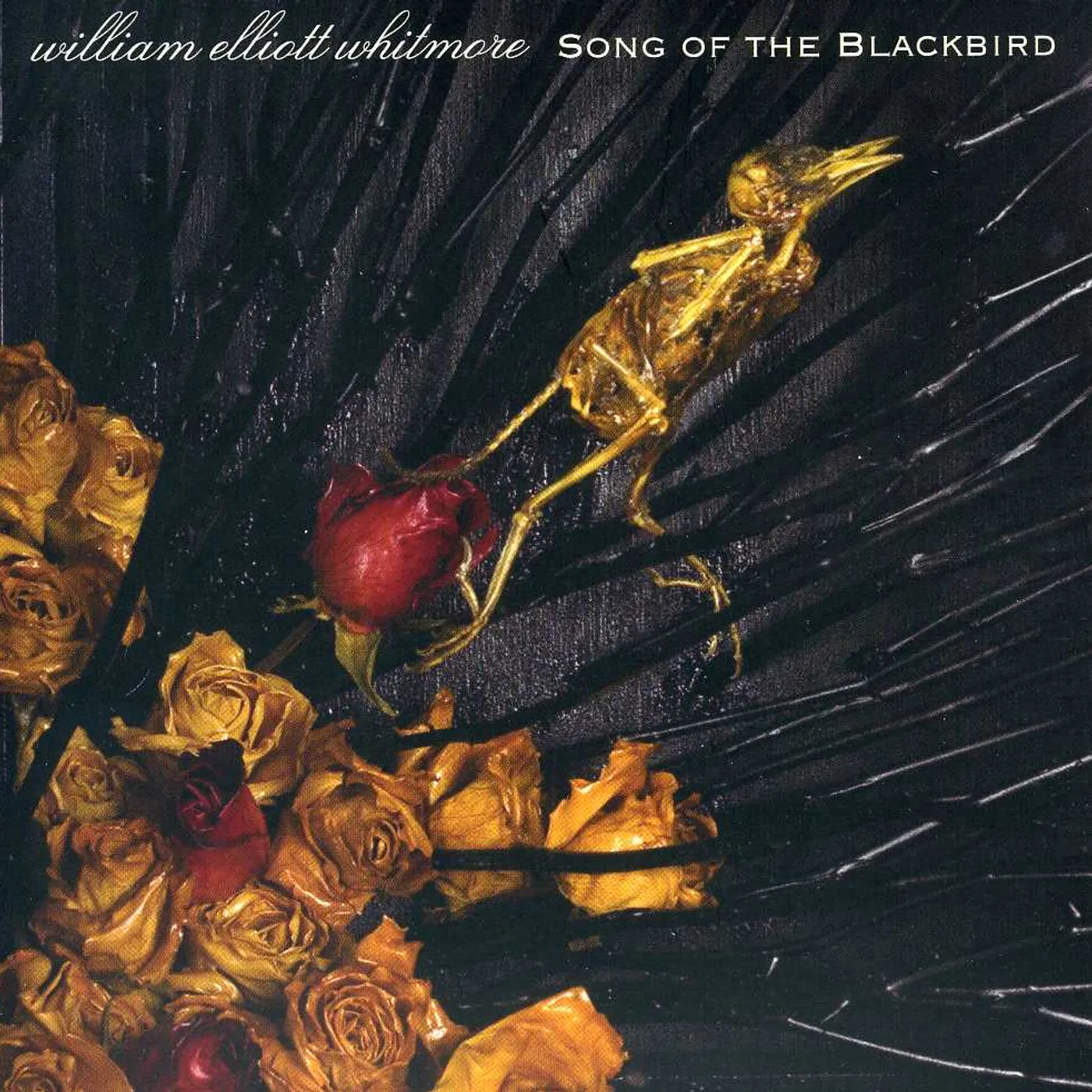William Elliott Whitmore SONG OF THE BLACKBIRD CD