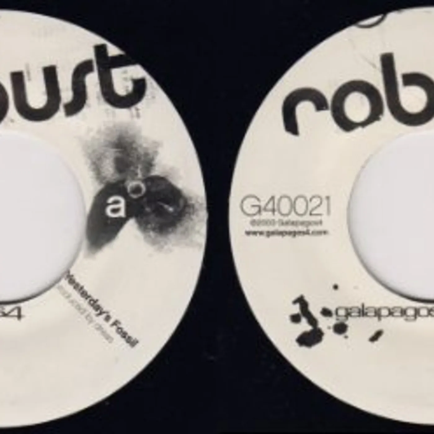 Robust YESTERDAY'S FOSSIL Vinyl Record