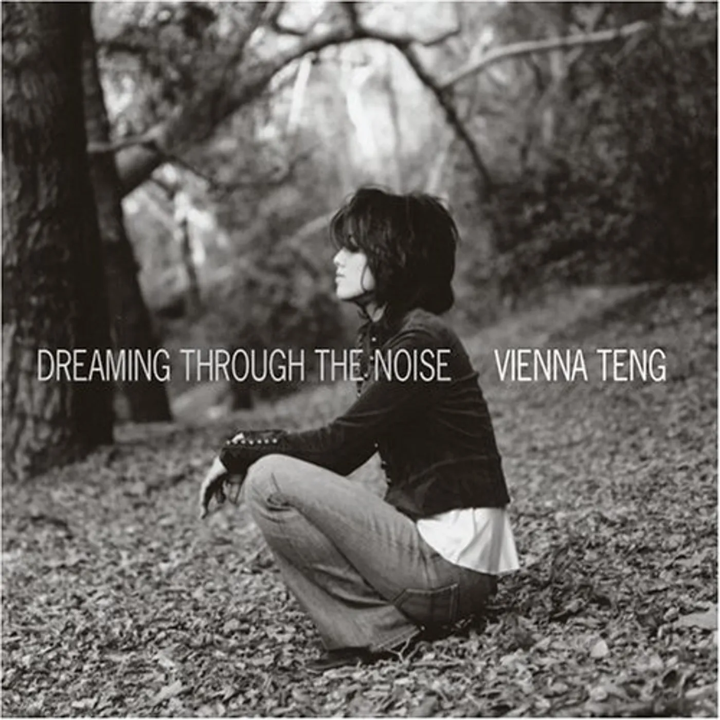 Vienna Teng DREAMING THROUGH THE NOISE CD