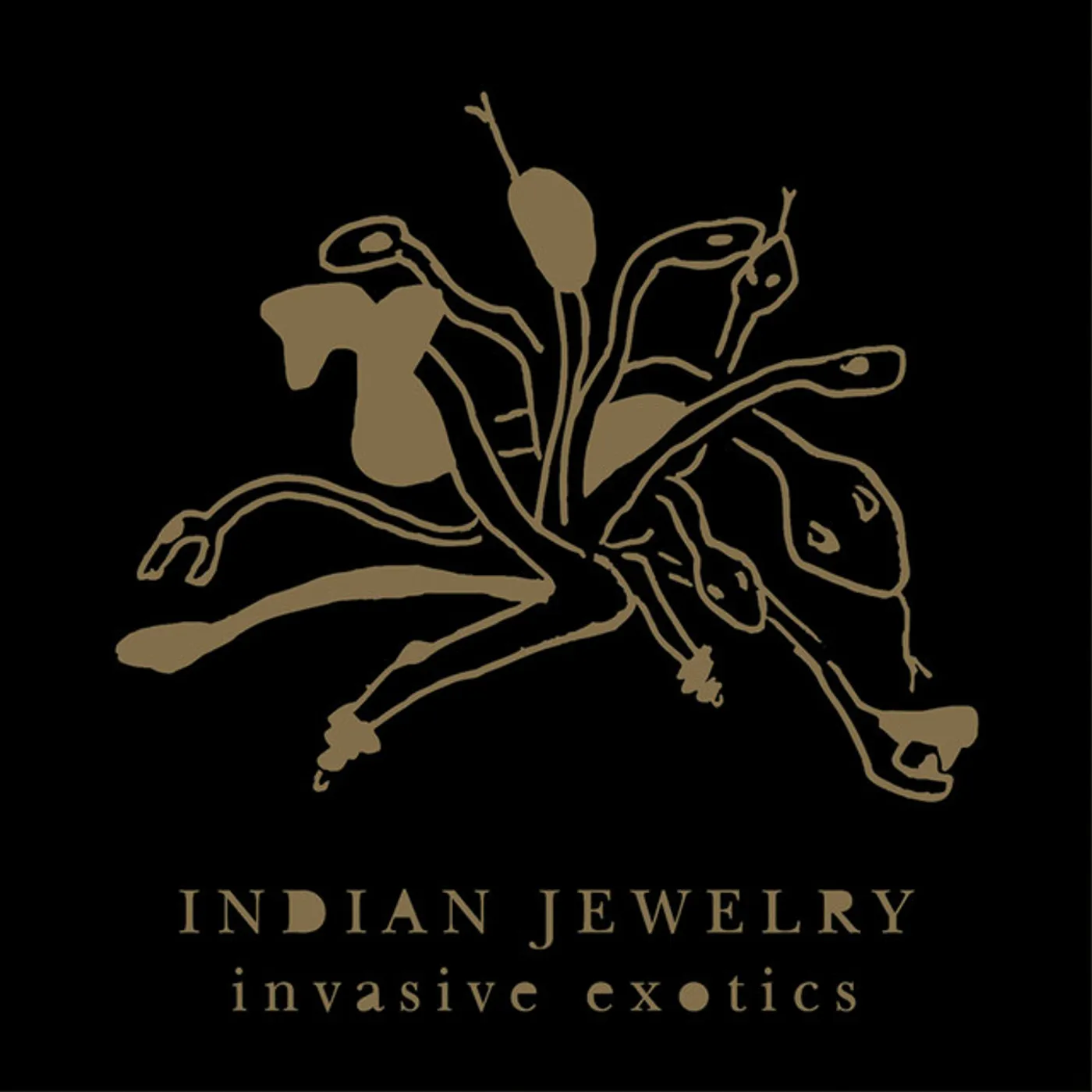Indian Jewelry INVASIVE EXOTICS CD